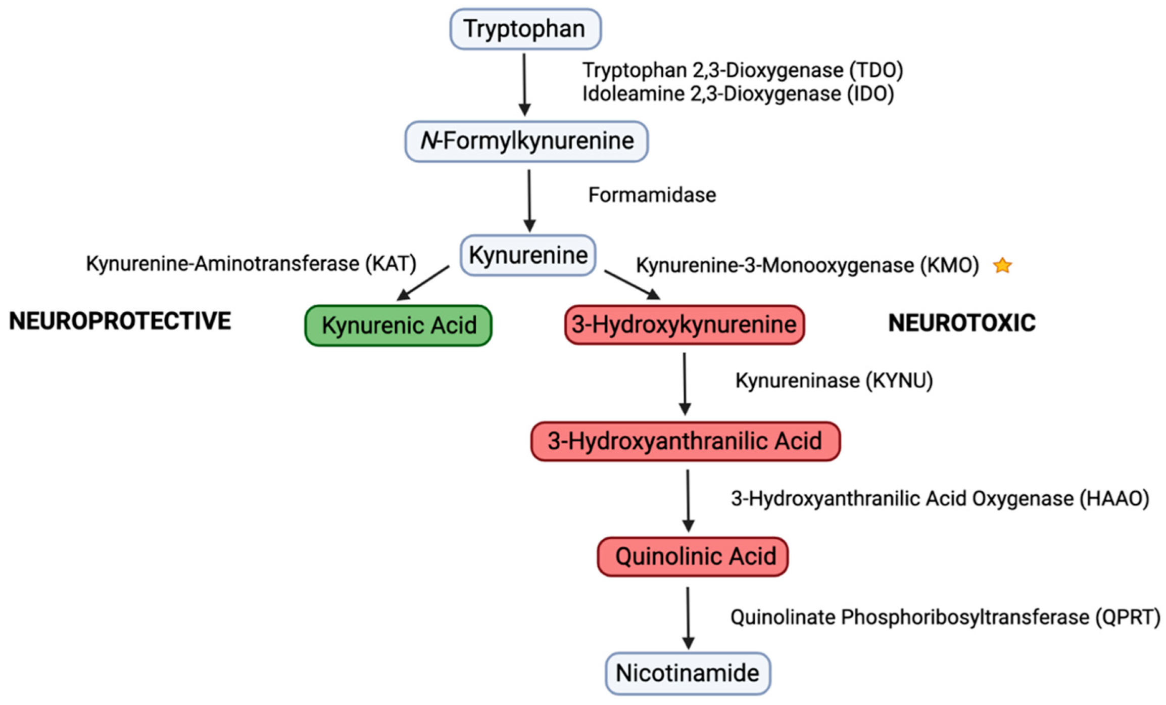 Biology 11 01416 g001