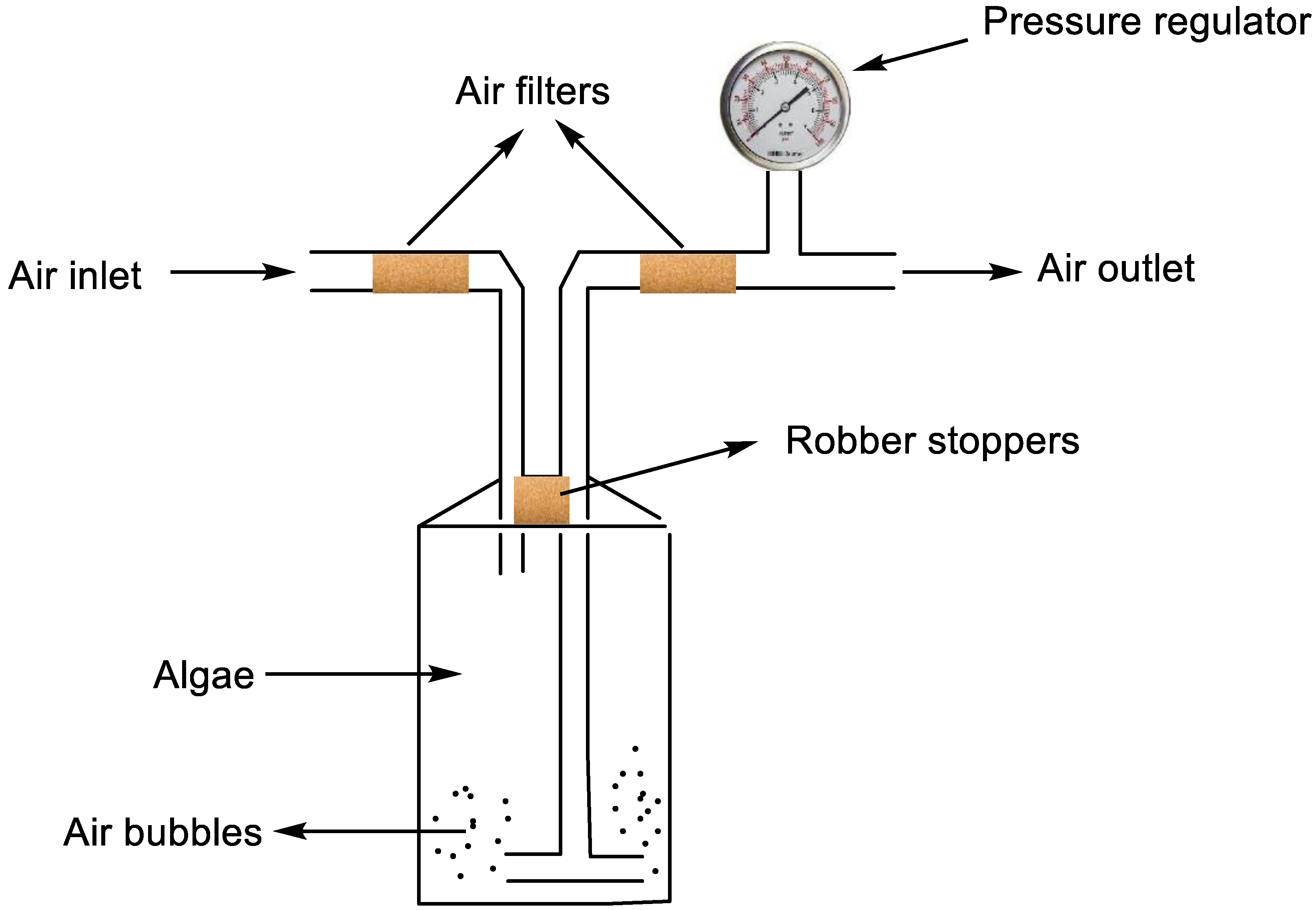 Biology 11 01418 g002