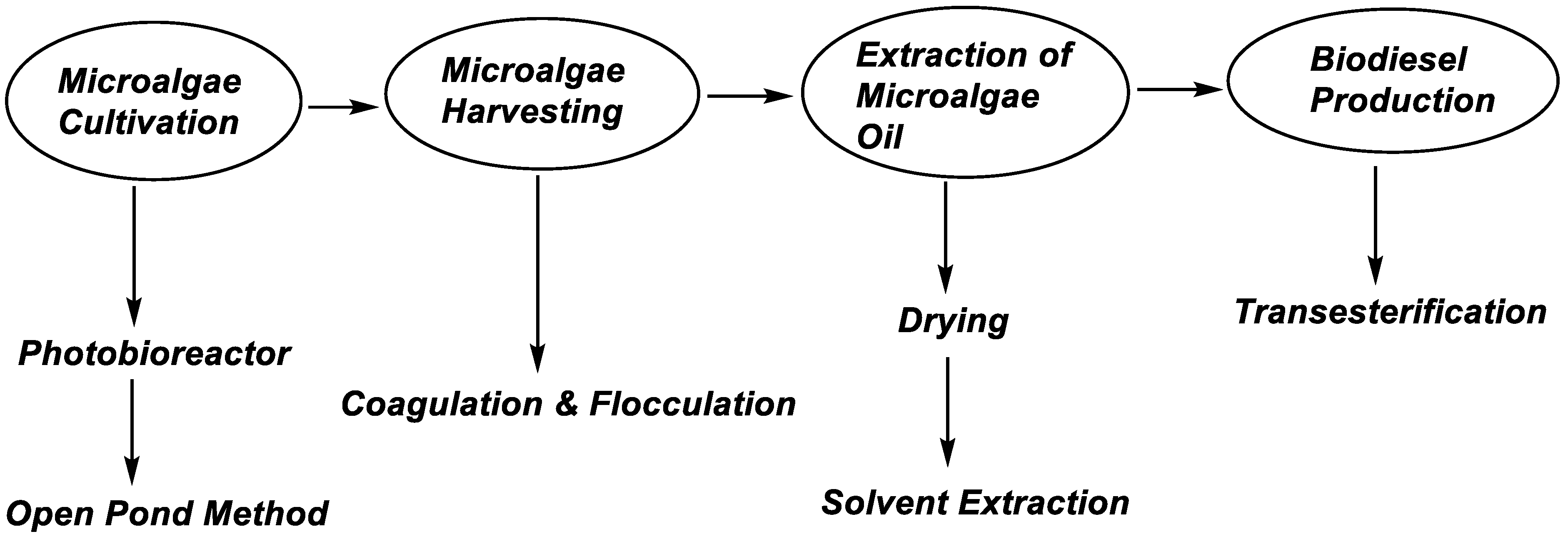 Biology 11 01418 g003