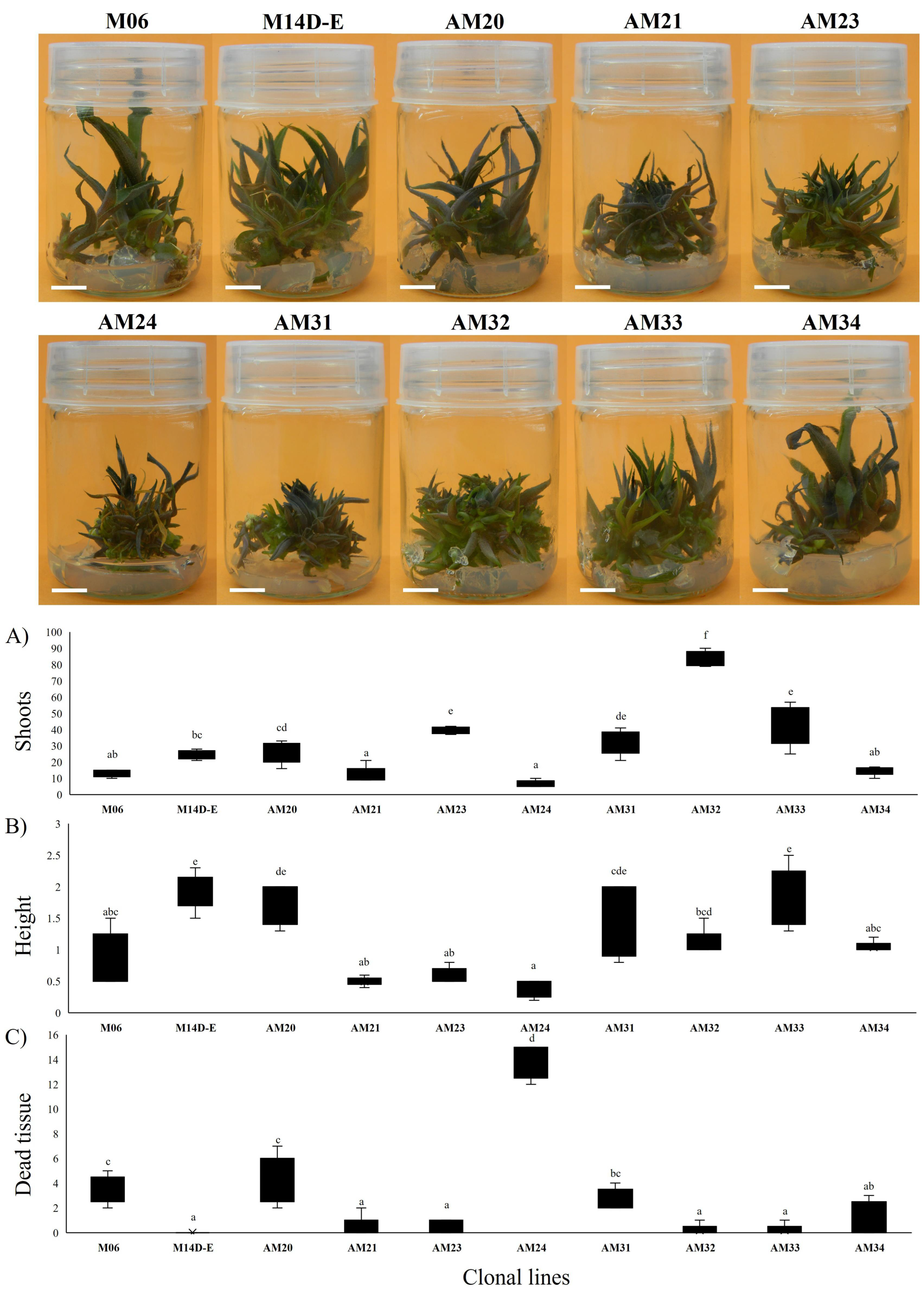 Biology 11 01423 g003 Biology 11 01423 g003