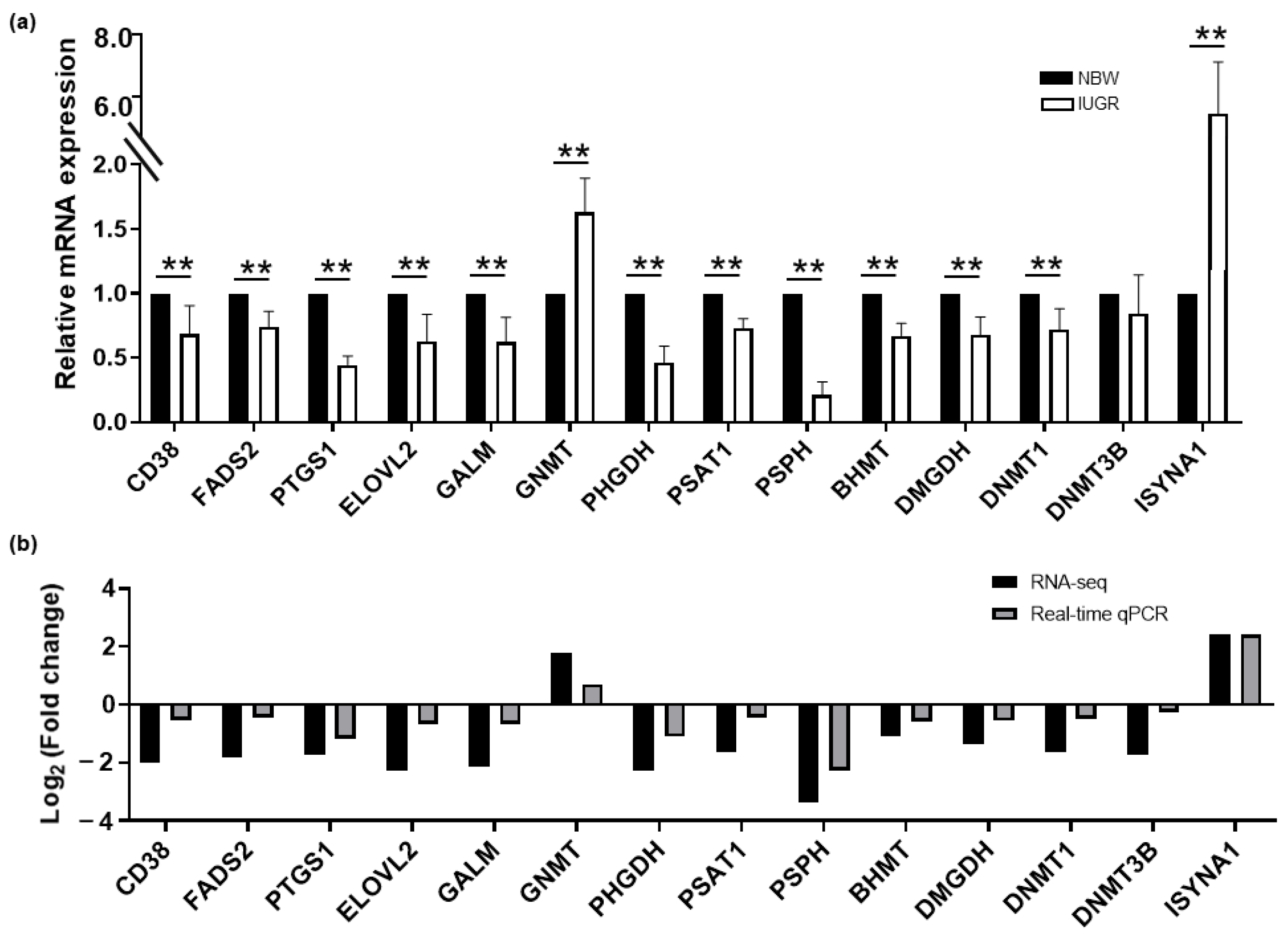 Biology 11 01430 g006 Biology 11 01430 g006