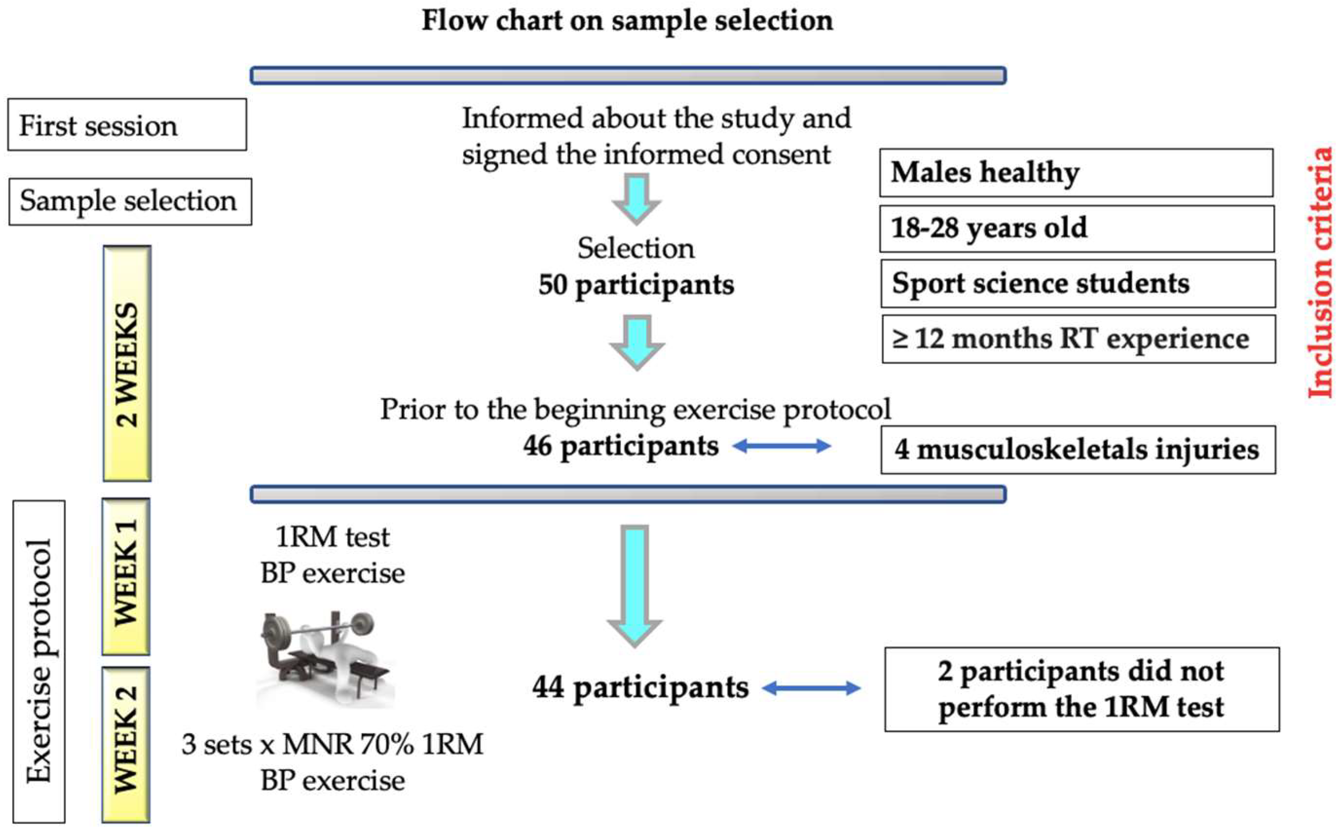 Biology 11 01435 g001