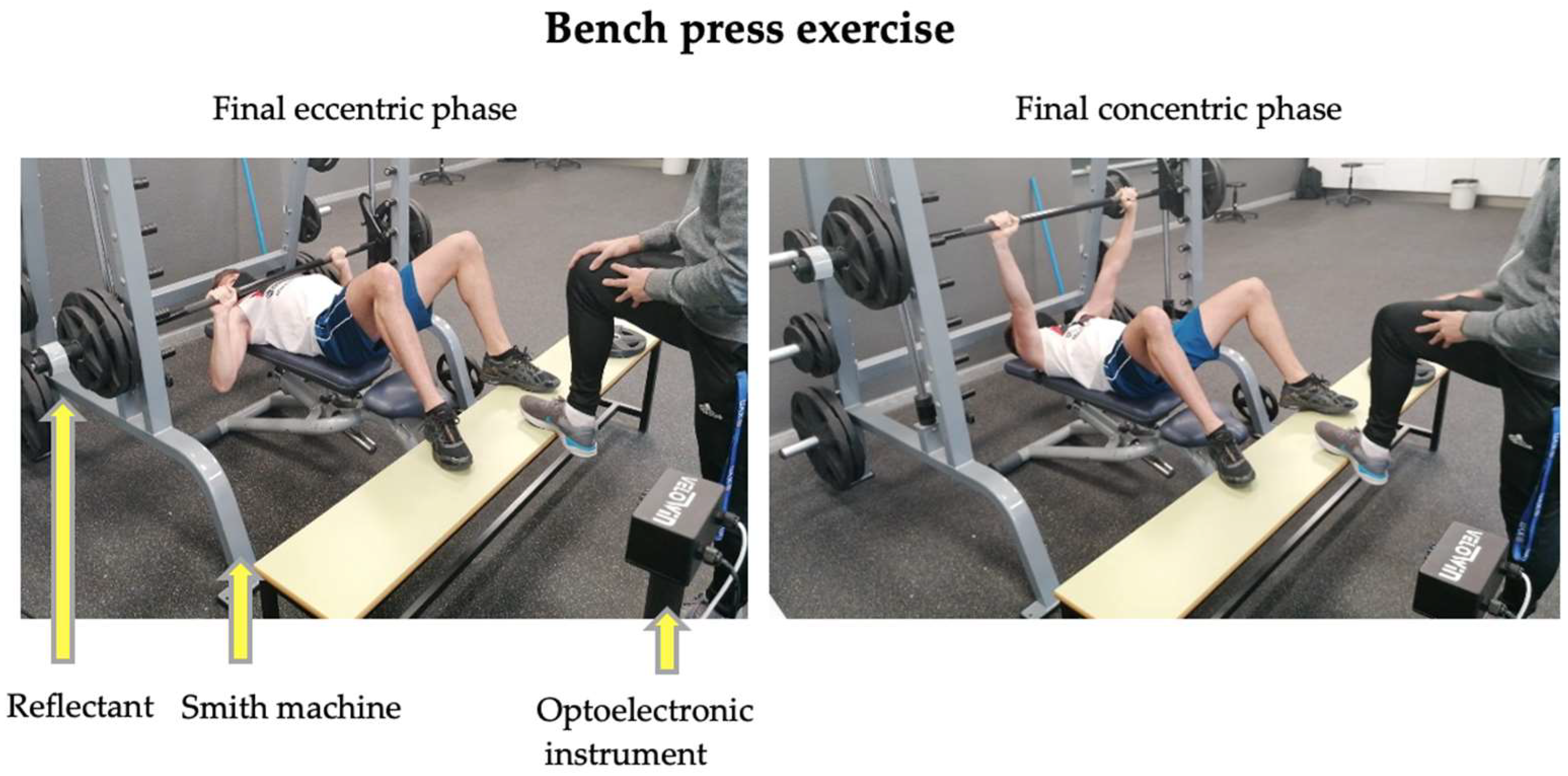 Biology 11 01435 g002