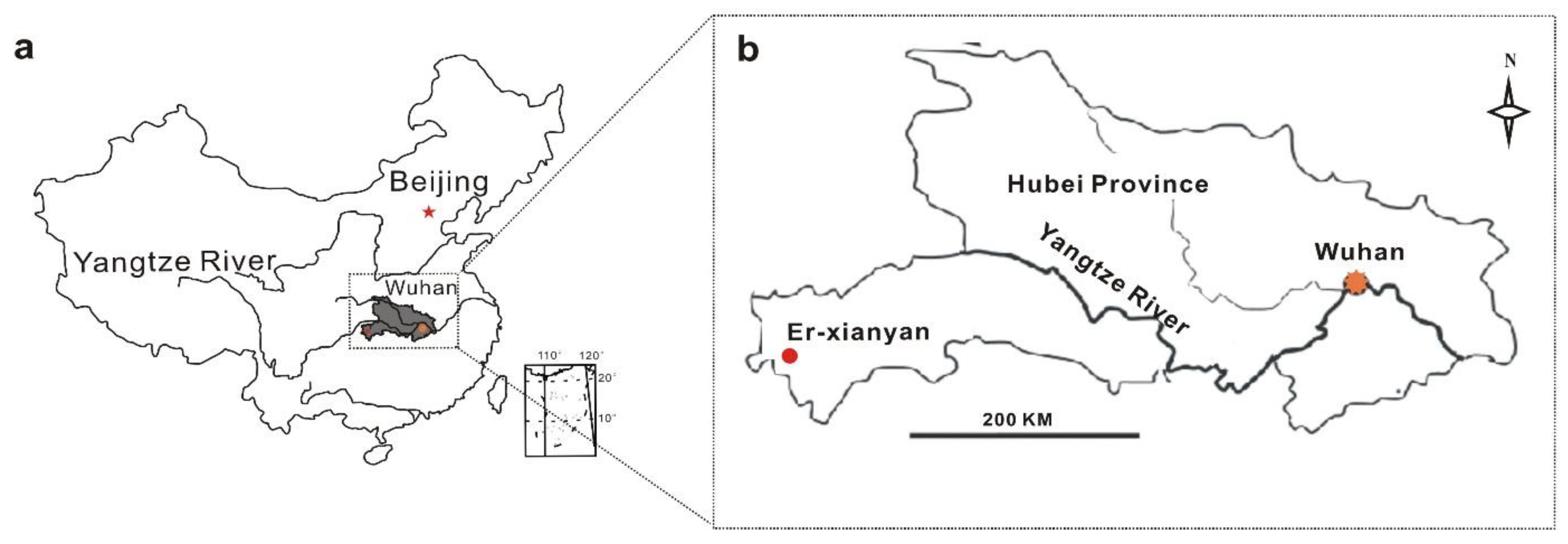 Biology 11 01436 g001 Biology 11 01436 g001