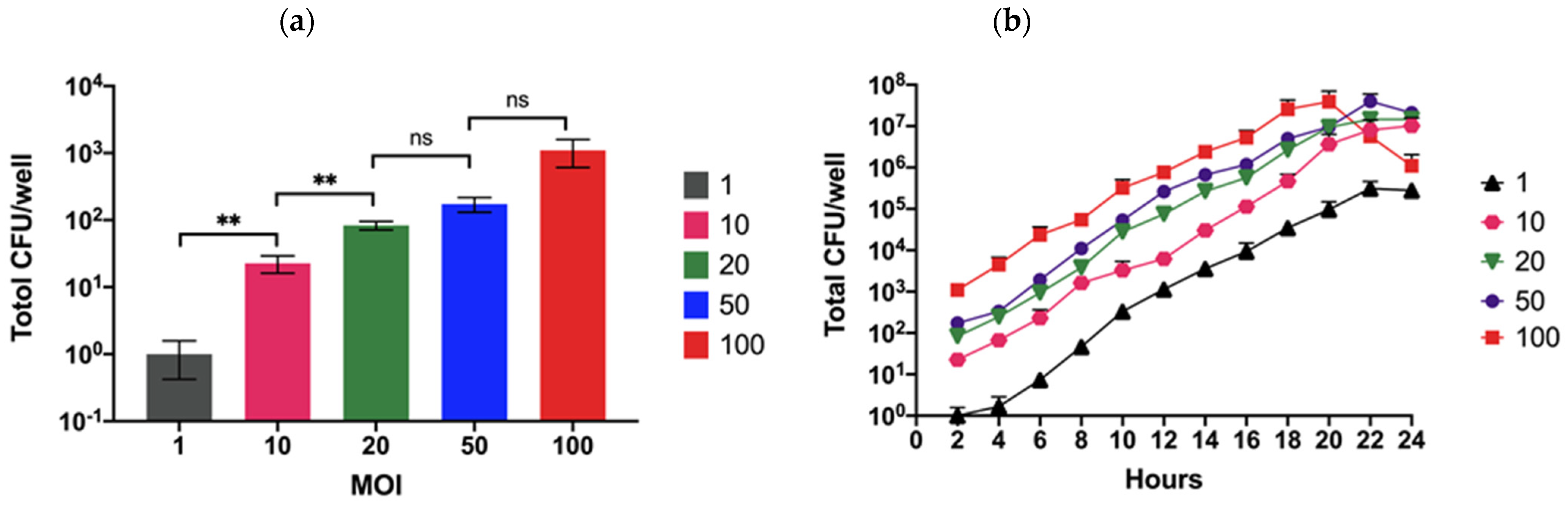 Biology 11 01439 g001 Biology 11 01439 g001
