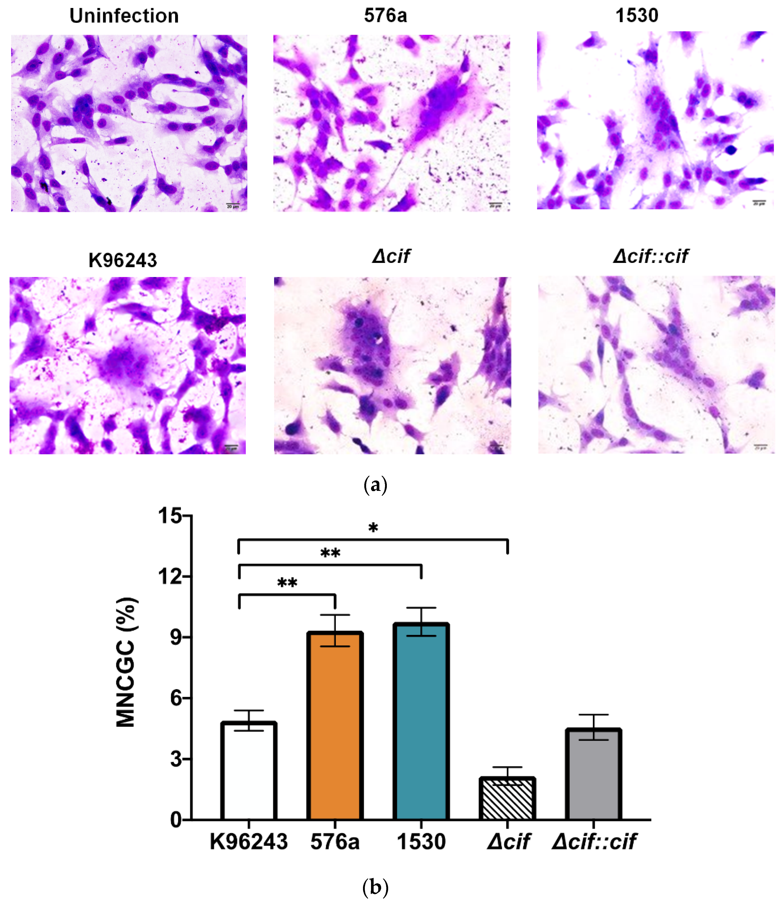 Biology 11 01439 g005 Biology 11 01439 g005