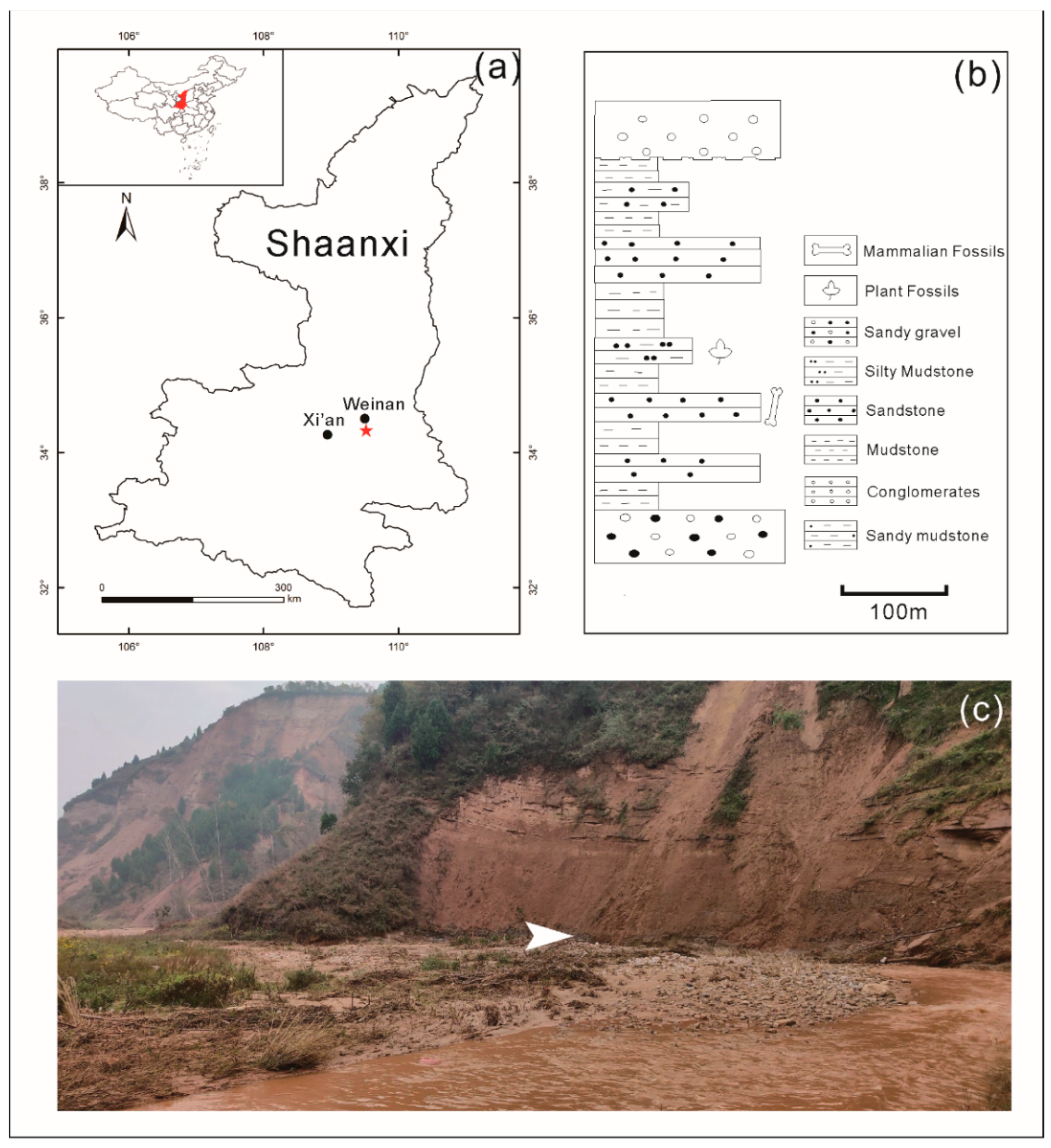 Biology 11 01442 g001 Biology 11 01442 g001