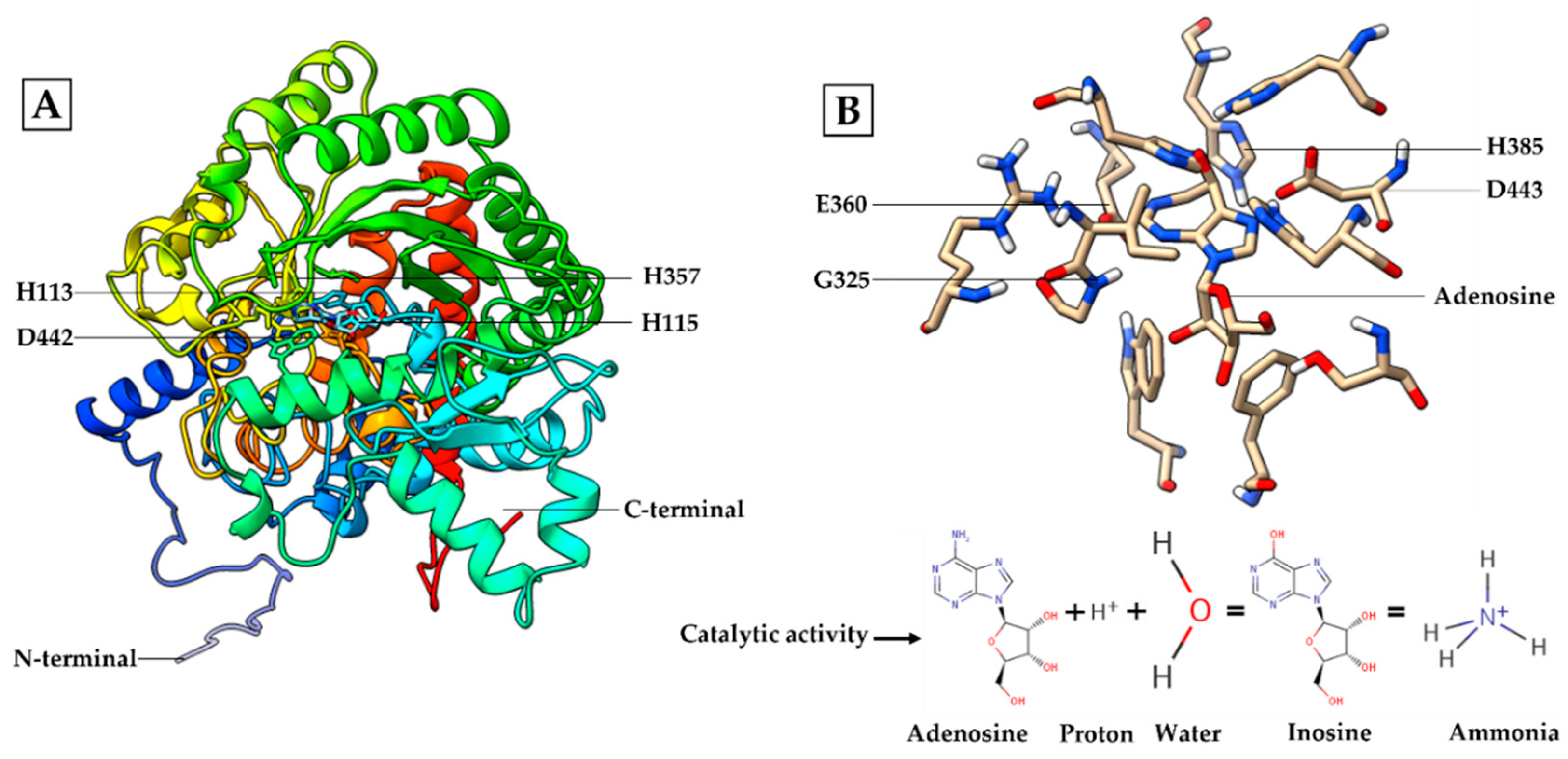 Biology 11 01445 g004