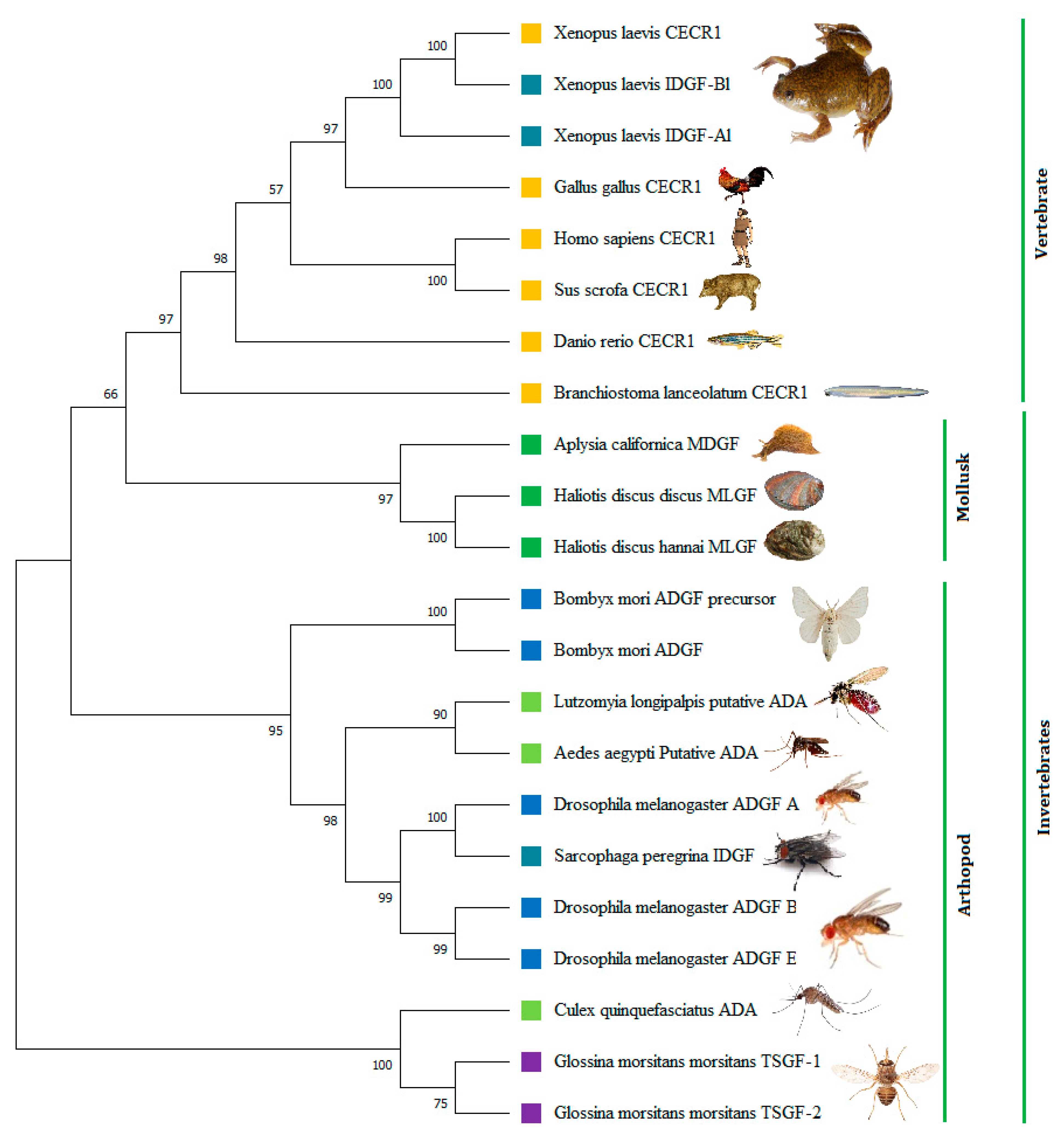 Biology 11 01445 g006