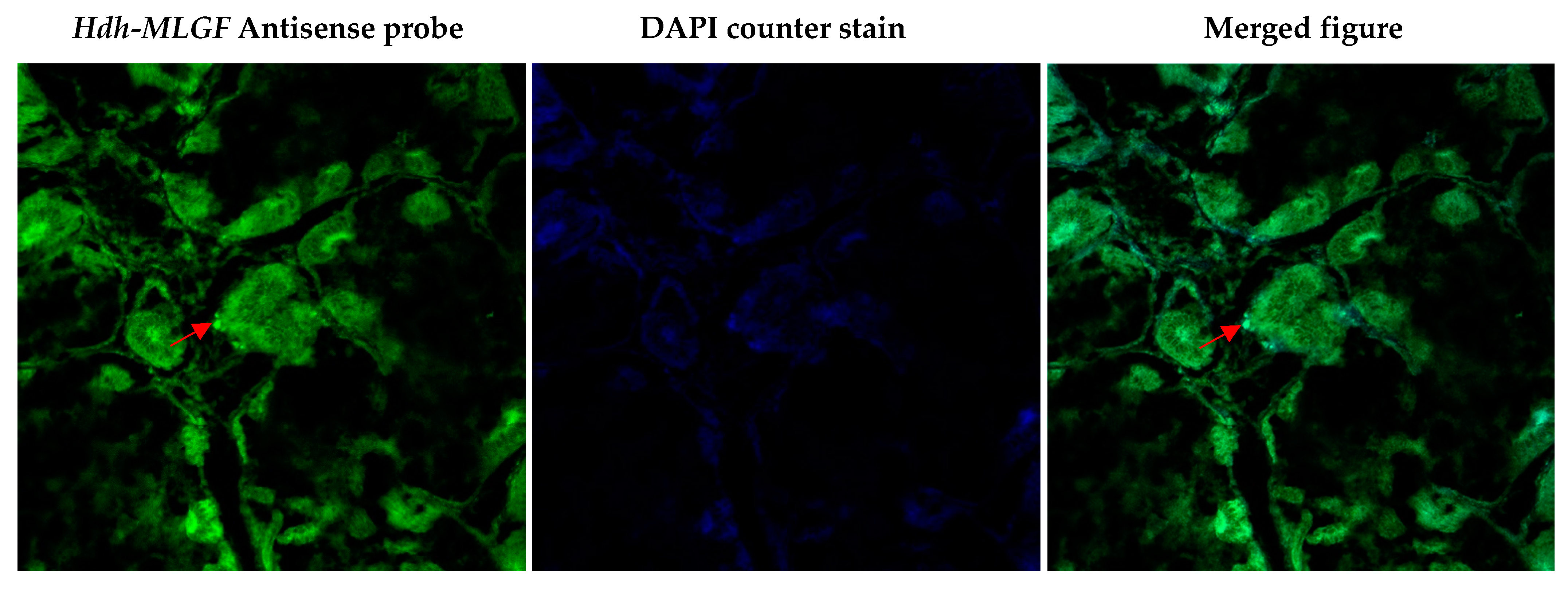 Biology 11 01445 g009
