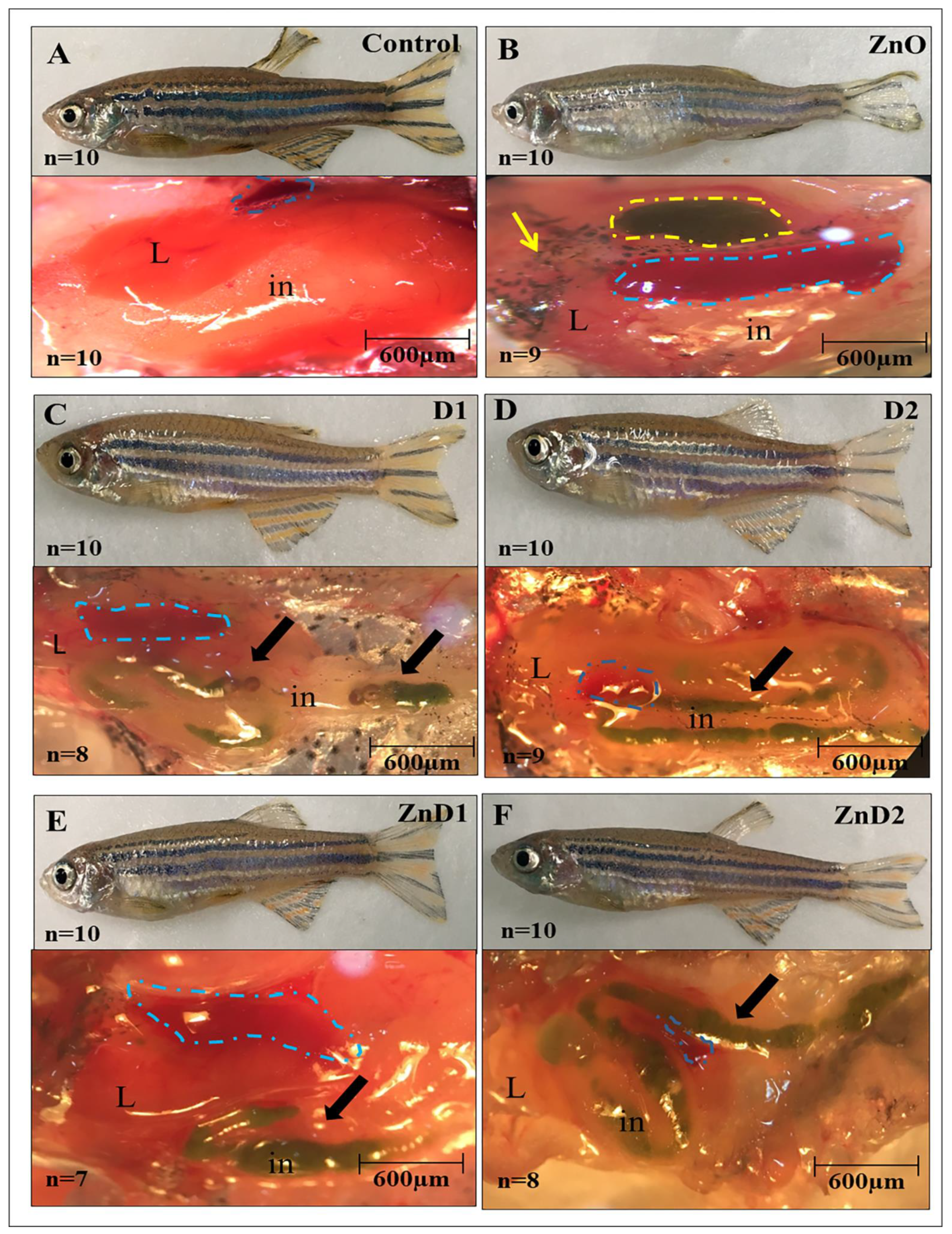 Biology 11 01447 g002 Biology 11 01447 g002