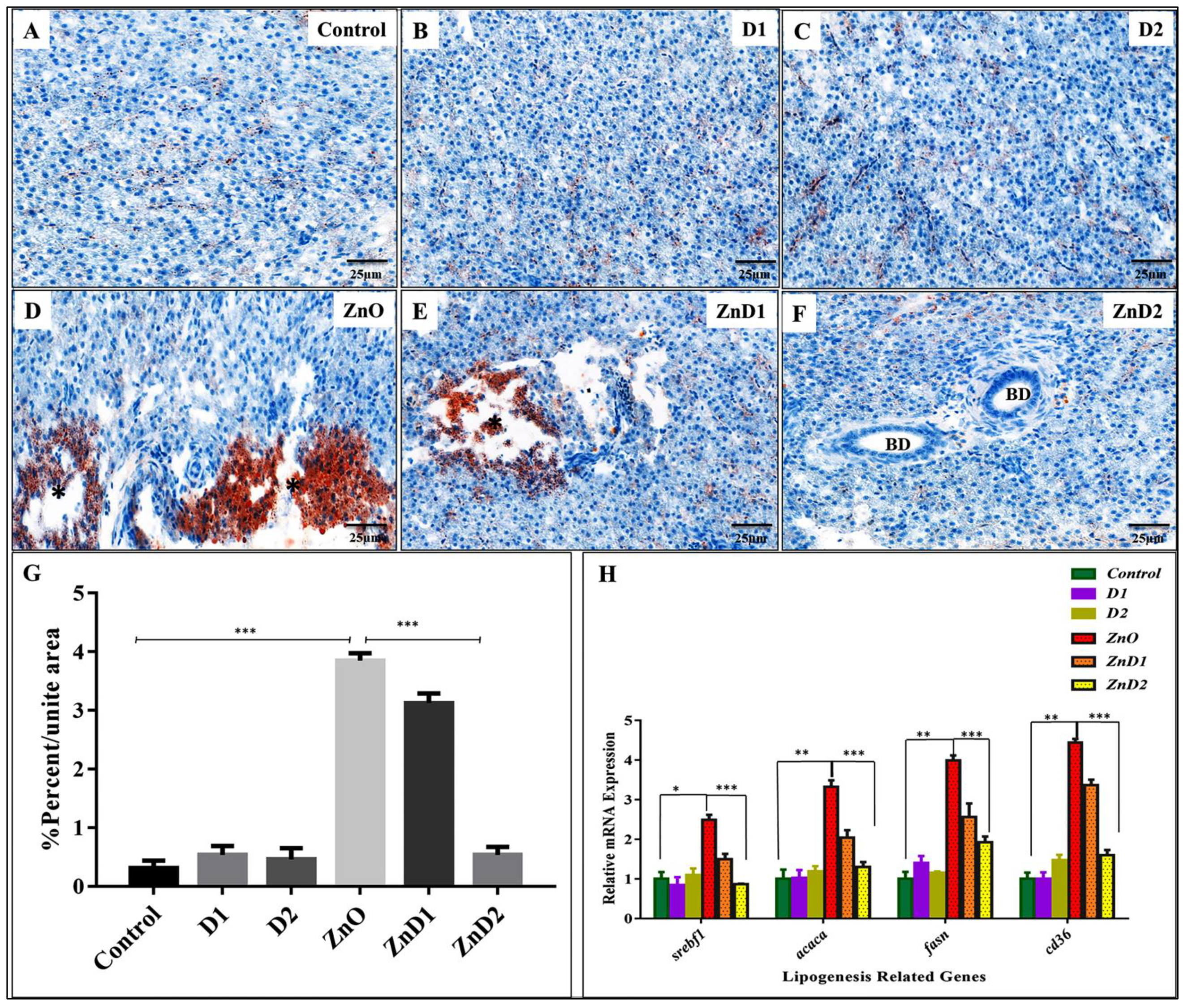 Biology 11 01447 g006 Biology 11 01447 g006