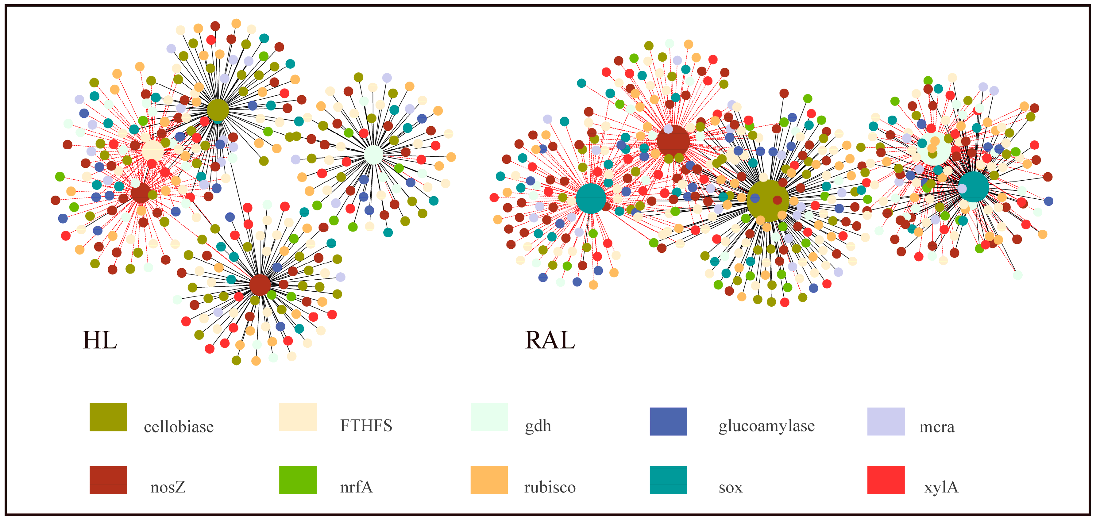 Biology 11 01448 g004 Biology 11 01448 g004
