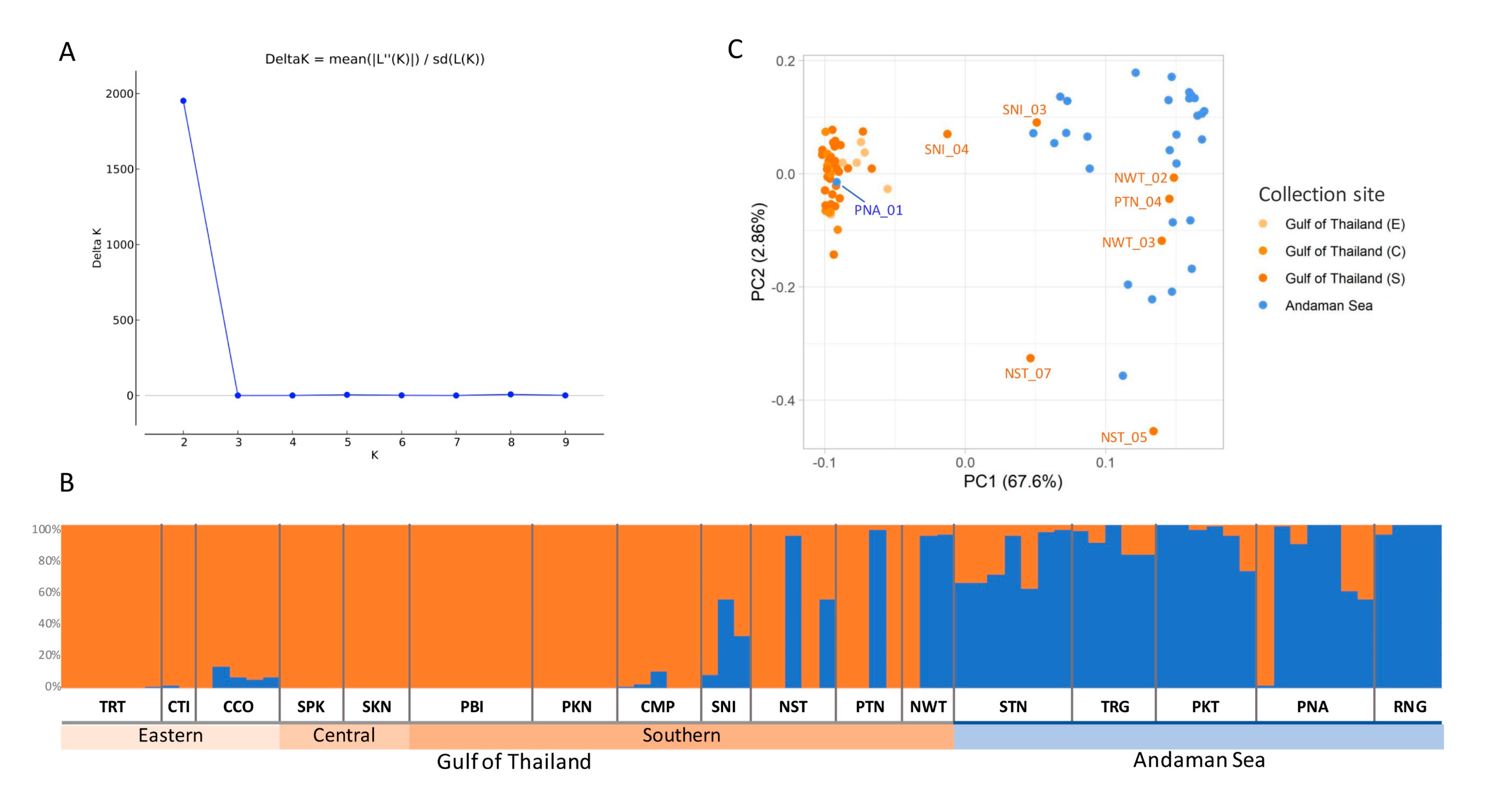 Biology 11 01449 g004 Biology 11 01449 g004