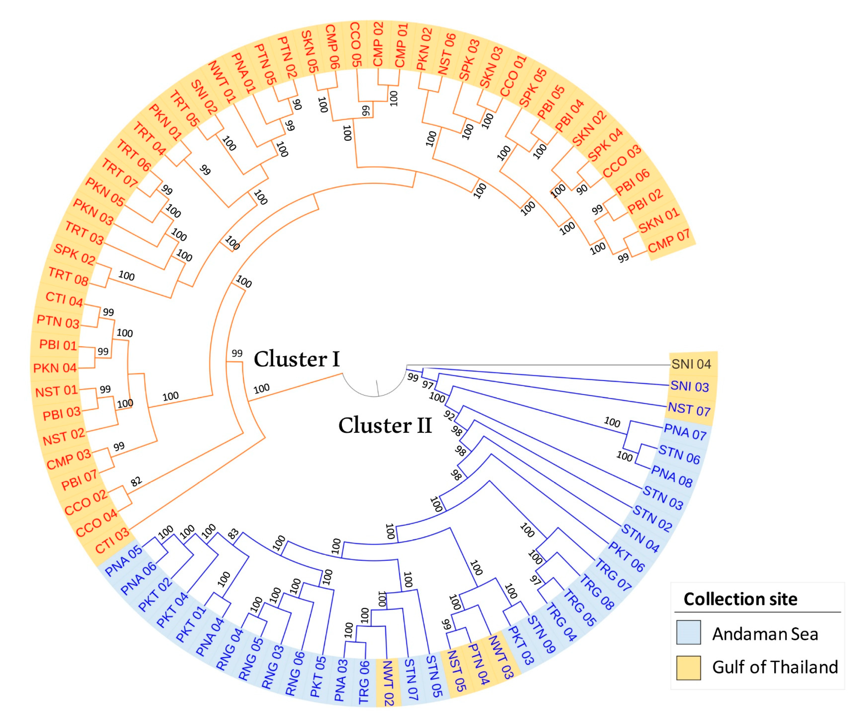 Biology 11 01449 g005 Biology 11 01449 g005