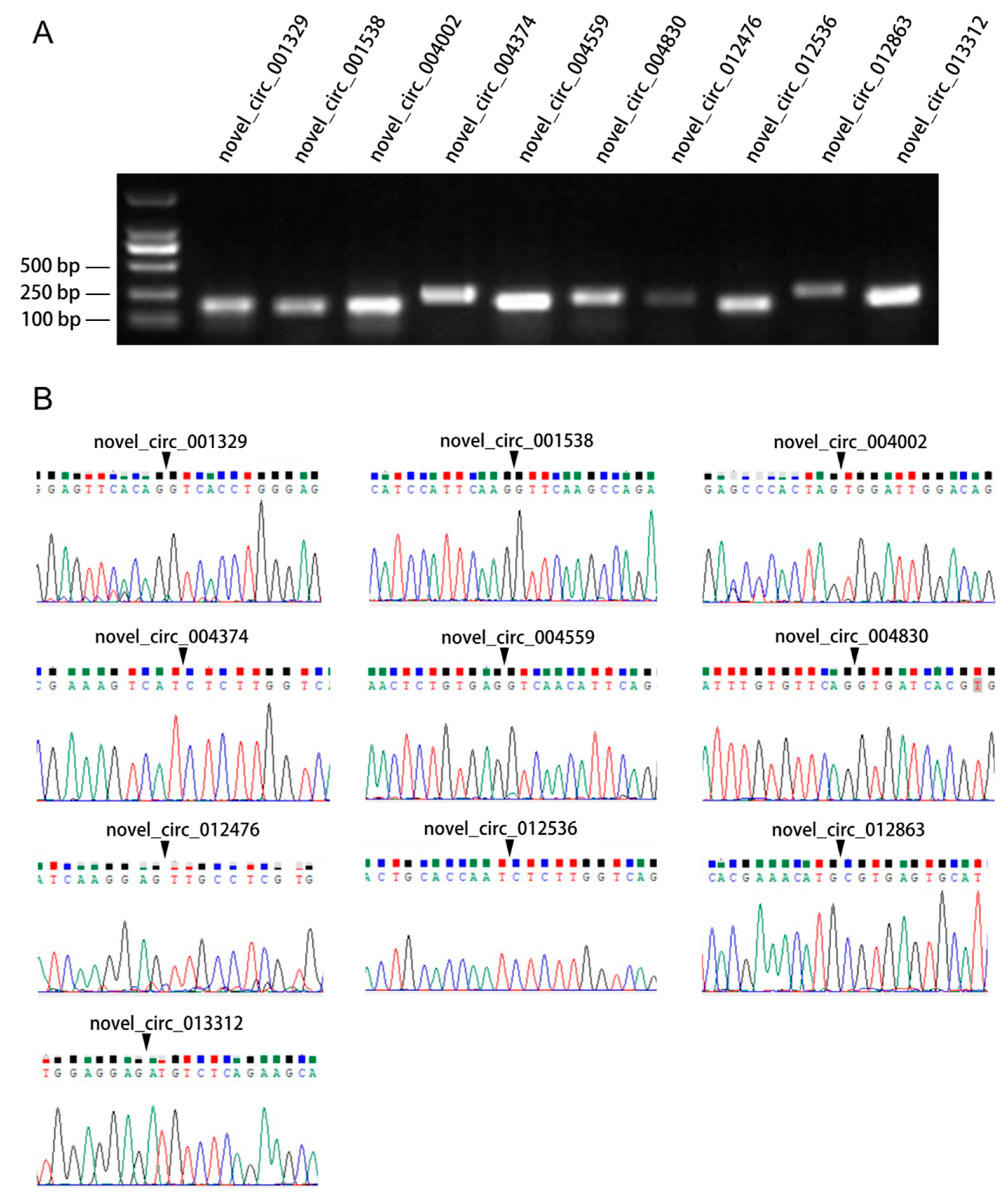 Biology 11 01451 g003 Biology 11 01451 g003