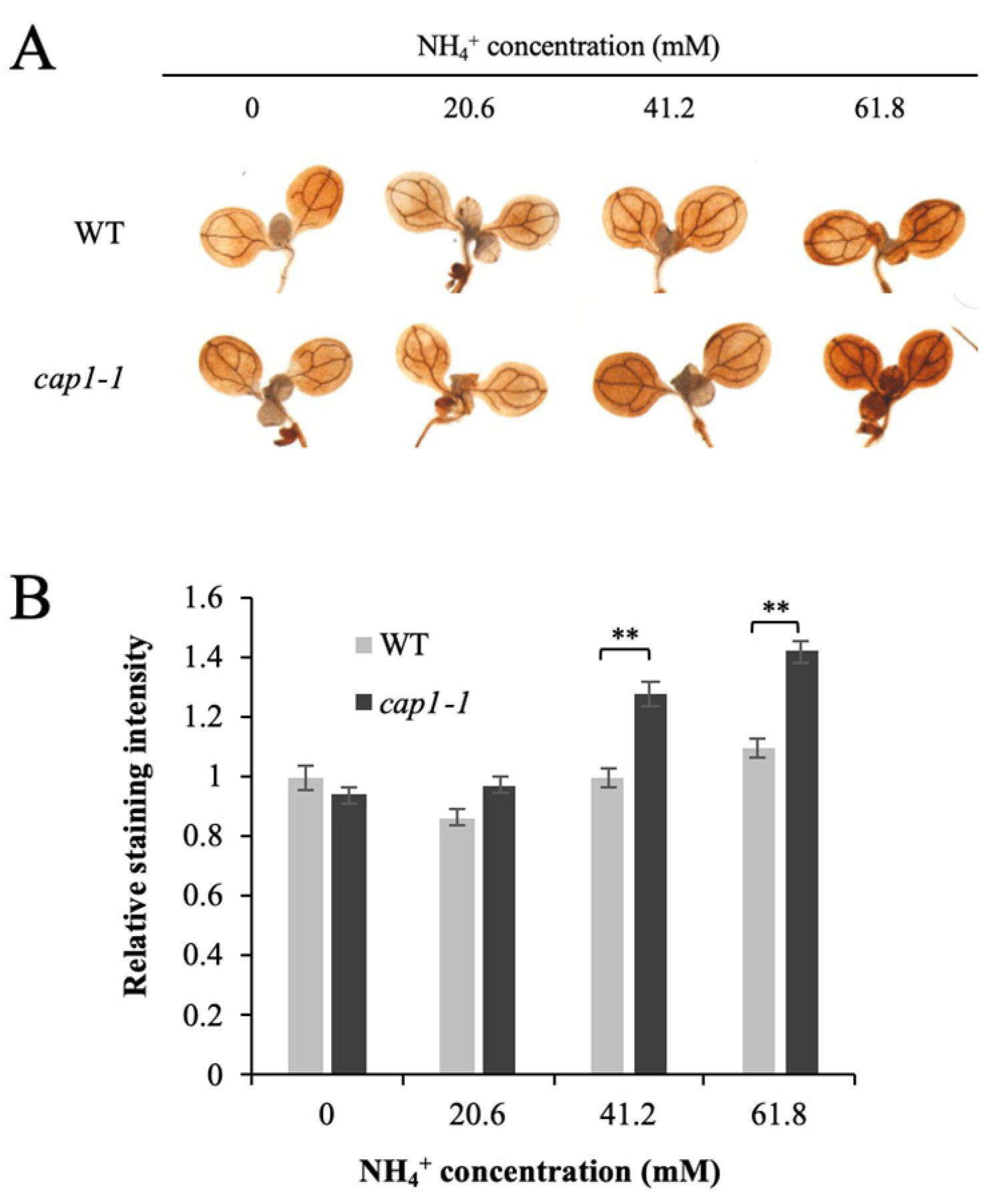 Biology 11 01452 g004