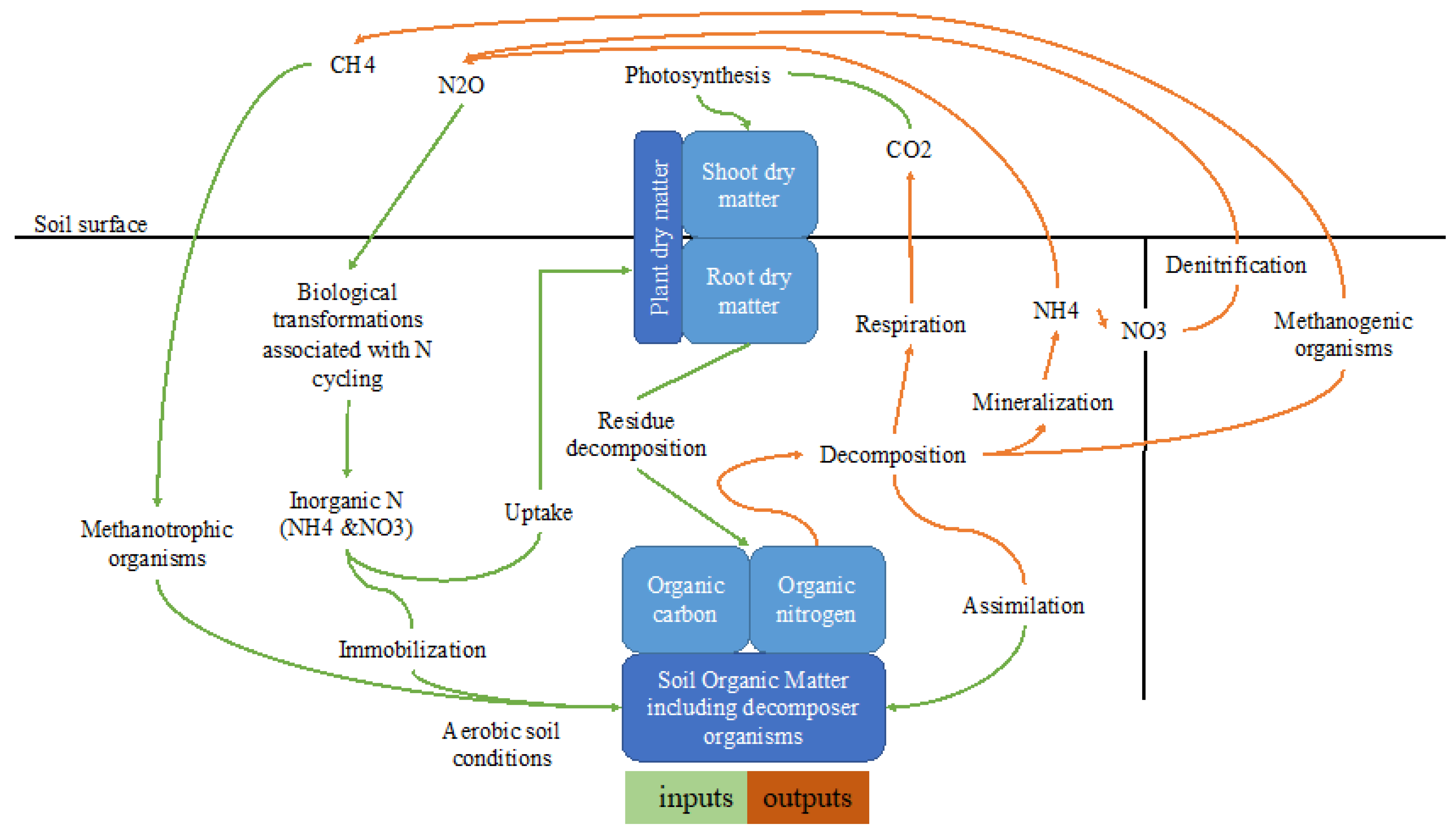 Biology 11 01453 g002 Biology 11 01453 g002
