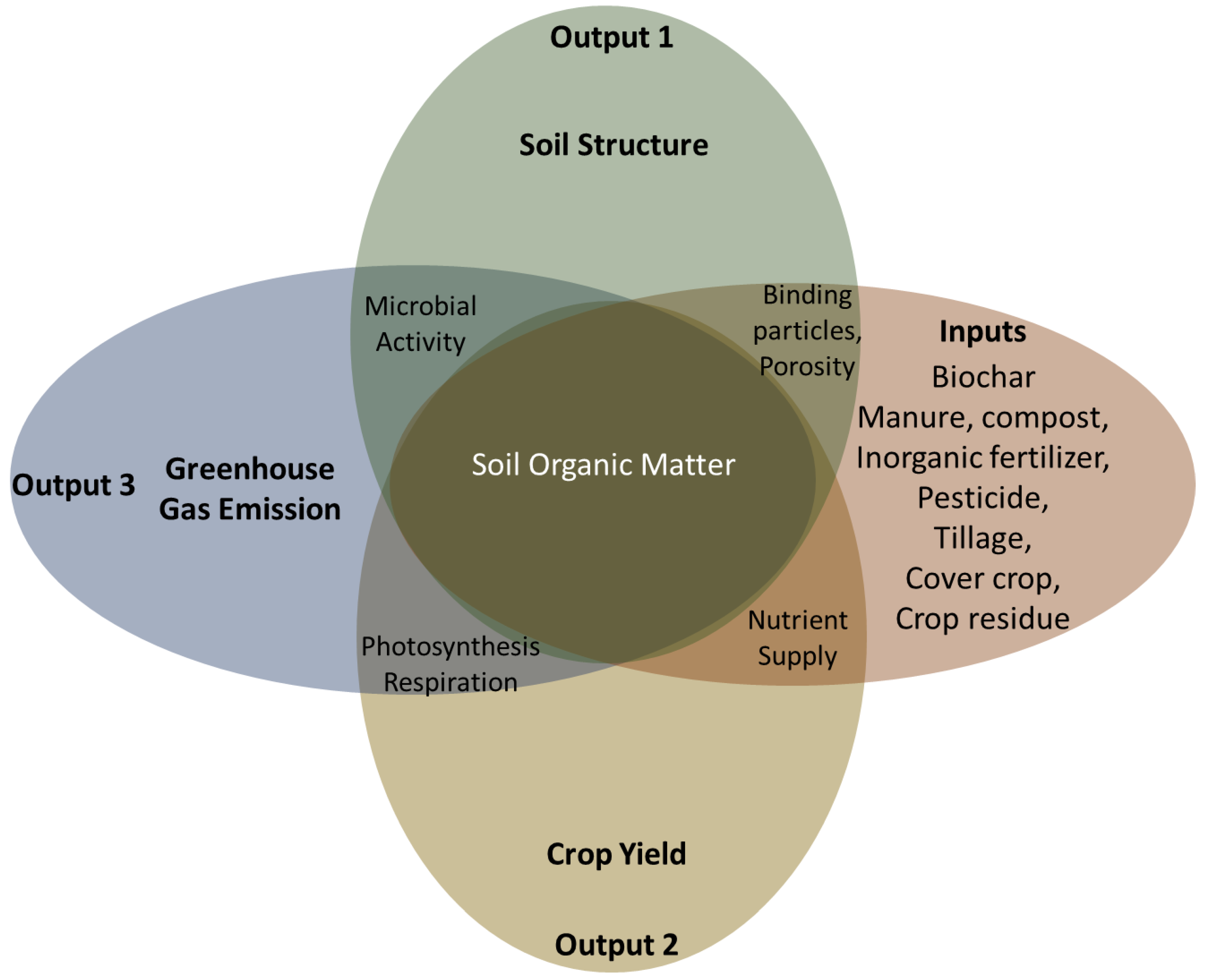 Biology 11 01453 g003 Biology 11 01453 g003