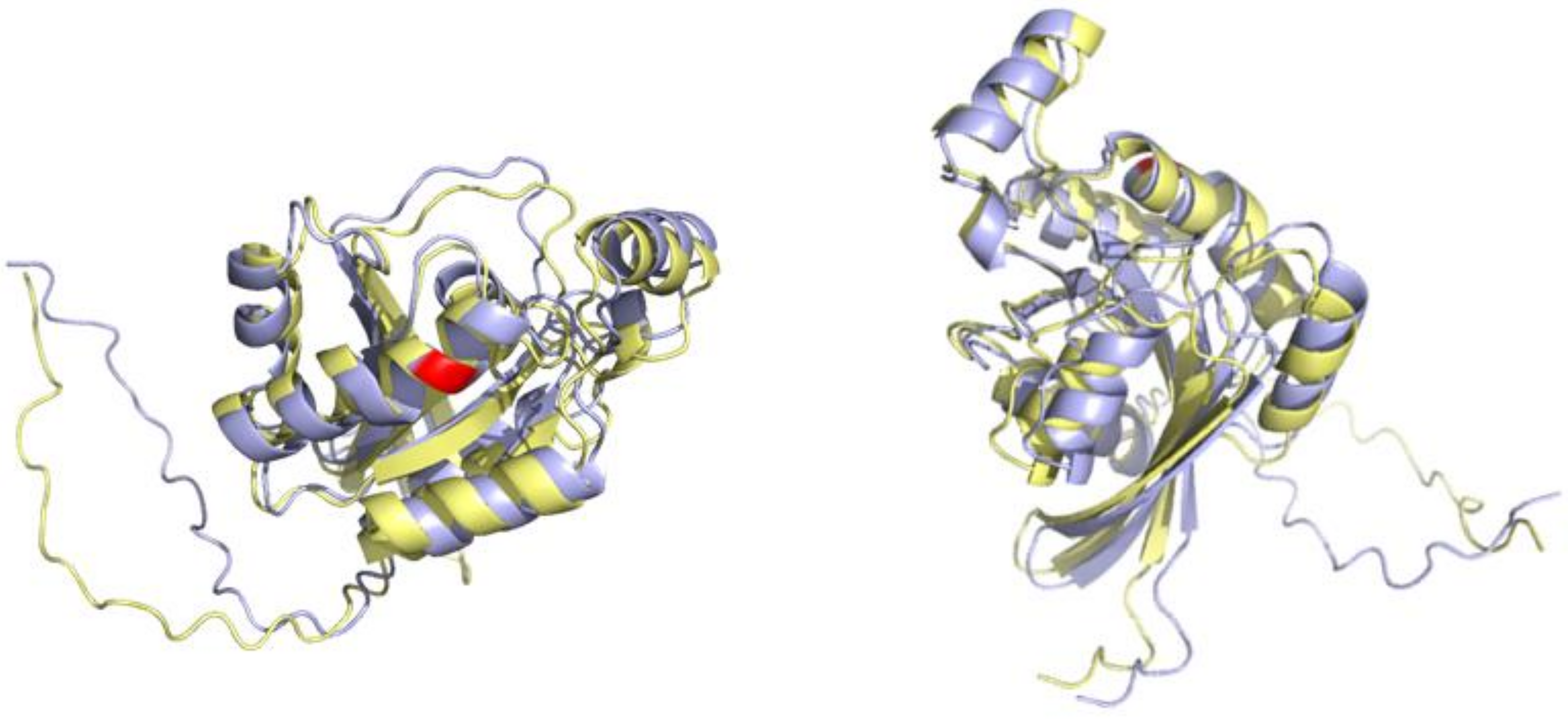 Biology 11 01454 g003 Biology 11 01454 g003