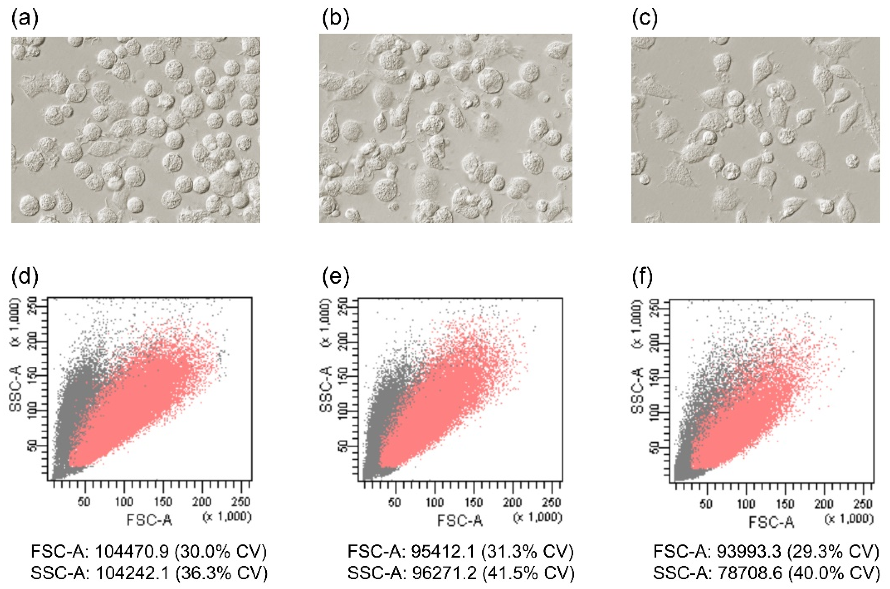 Biology 11 01457 g001