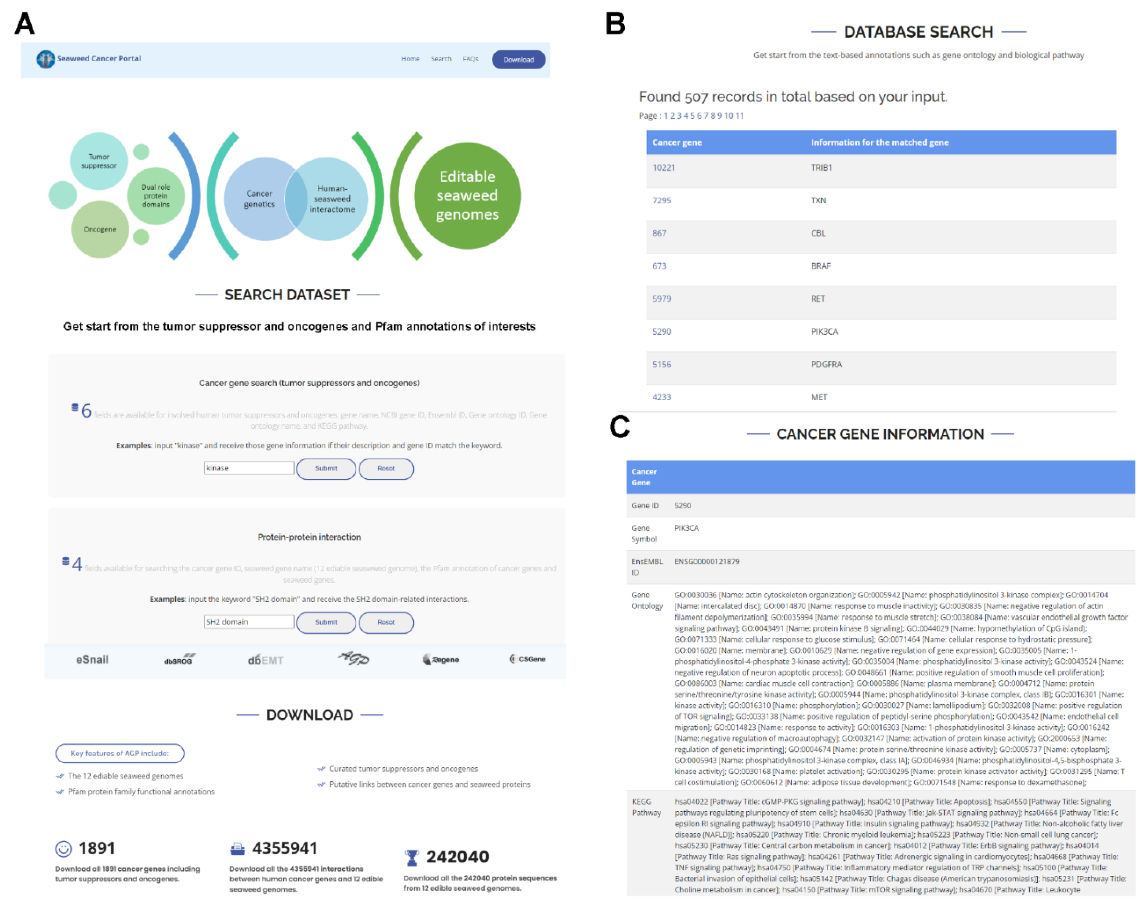 Biology 11 01458 g002 Biology 11 01458 g002