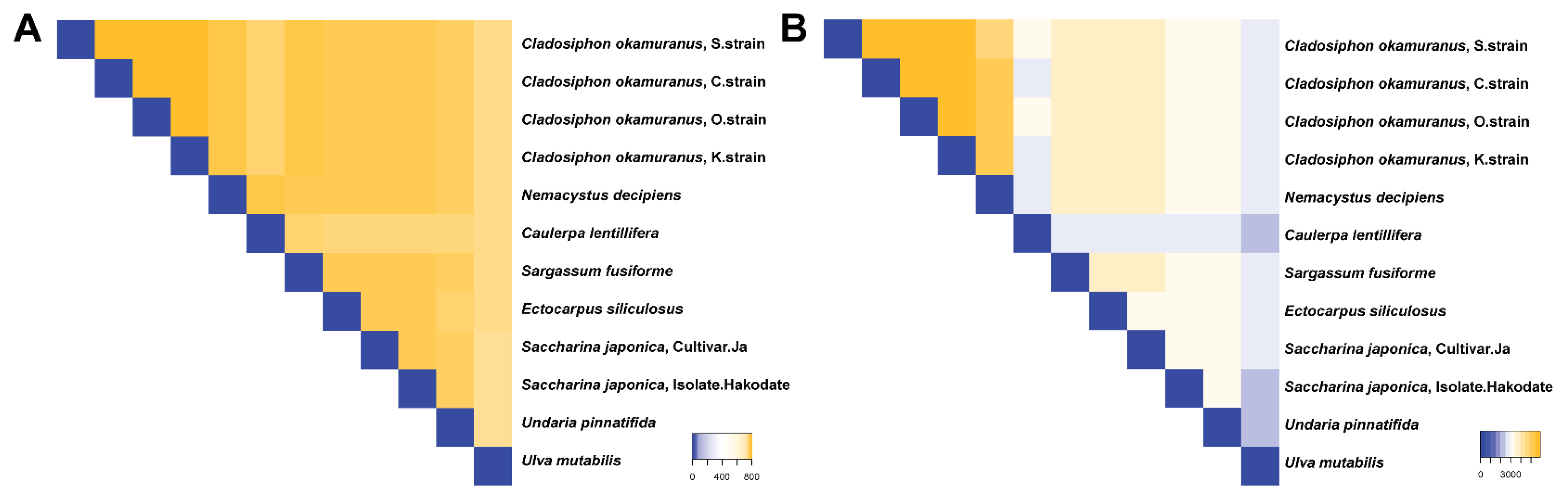 Biology 11 01458 g004 Biology 11 01458 g004