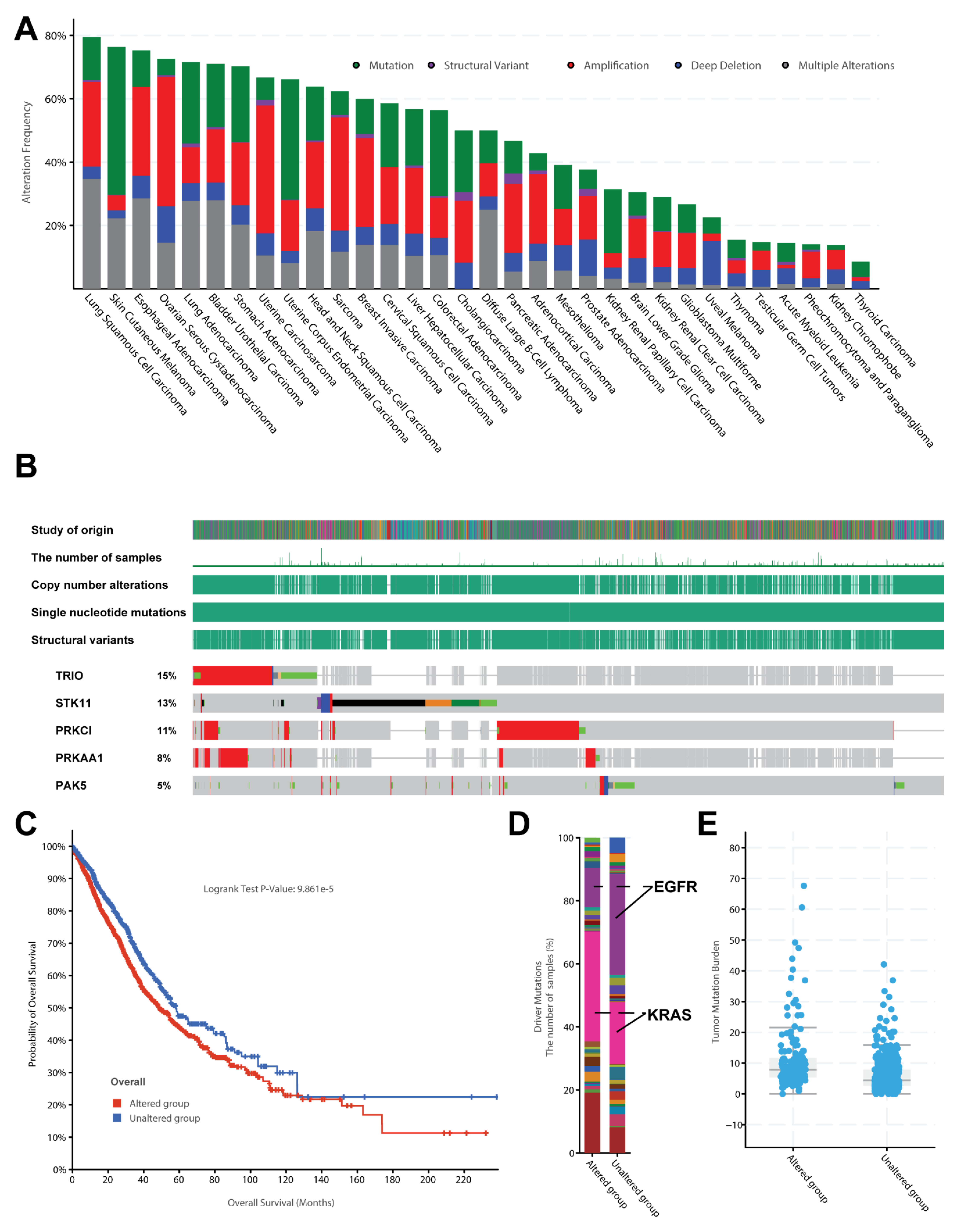 Biology 11 01458 g007 Biology 11 01458 g007