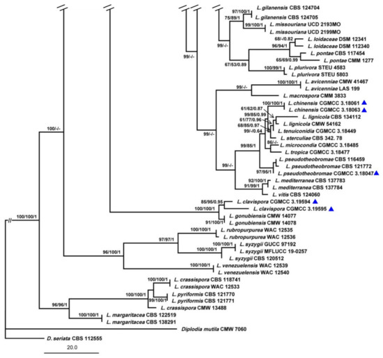 じん サイドフェアリング モーターサイクルアクセサリー リア上部