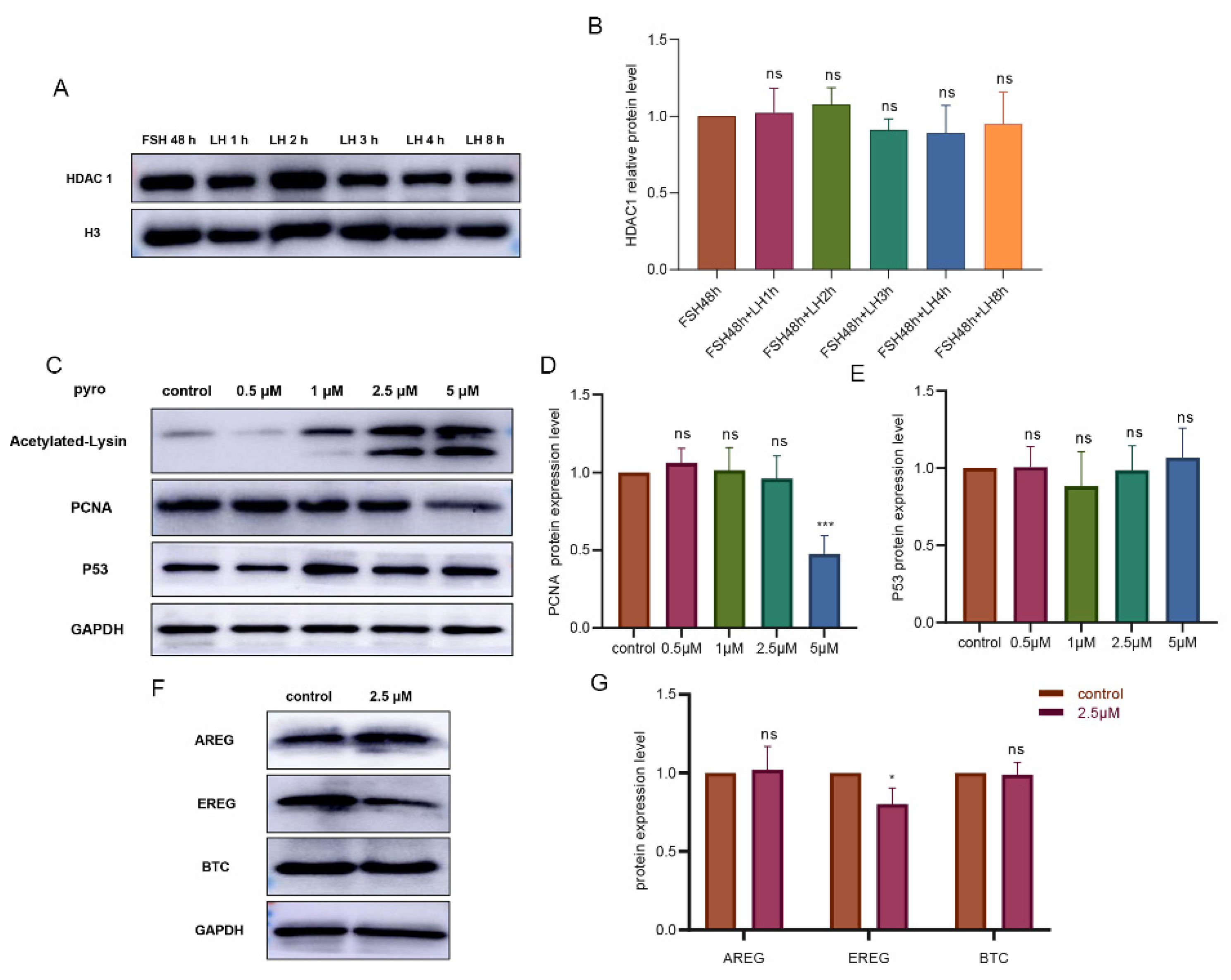 Biology 11 01464 g003a Biology 11 01464 g003a