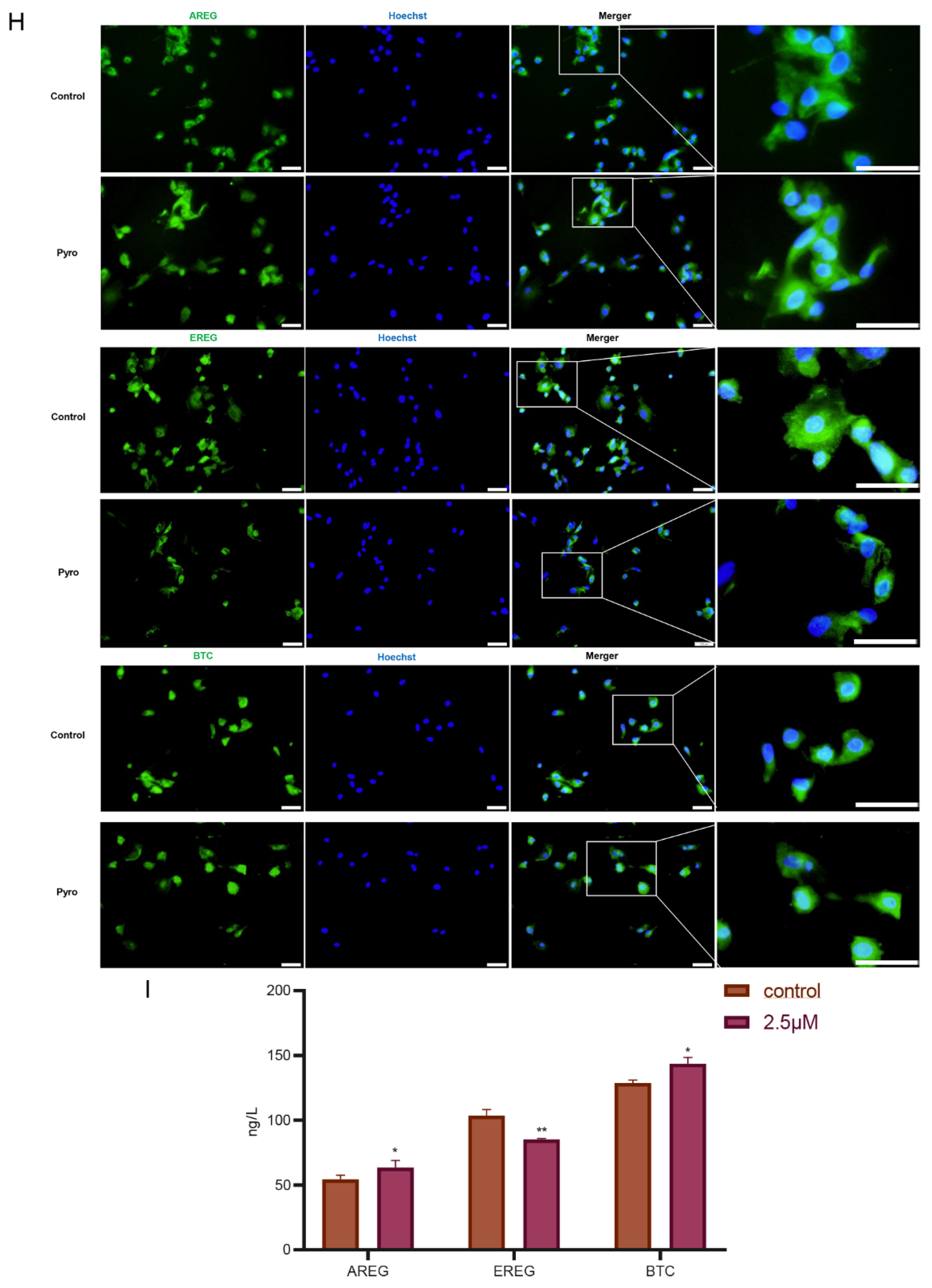 Biology 11 01464 g003b Biology 11 01464 g003b