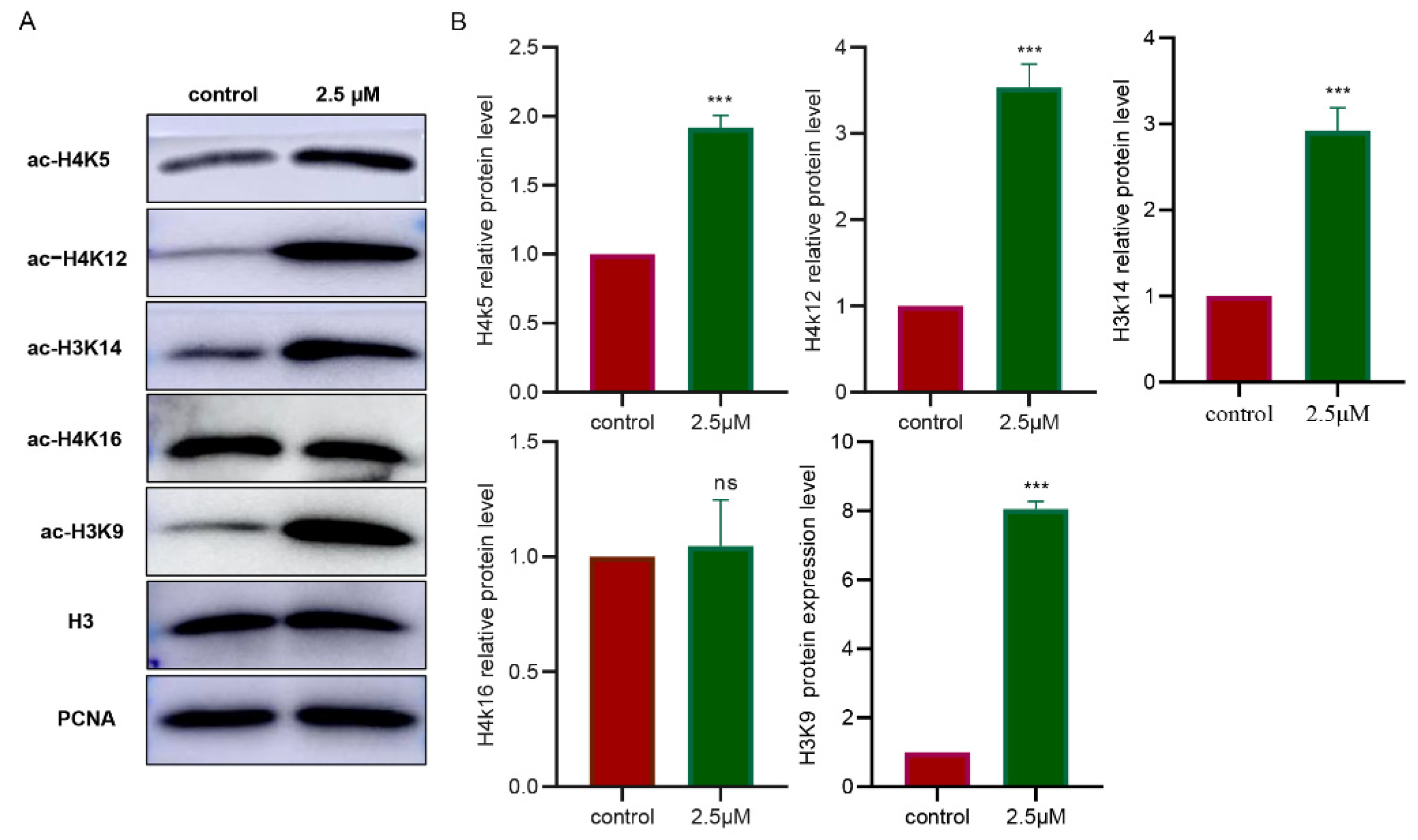 Biology 11 01464 g005 Biology 11 01464 g005