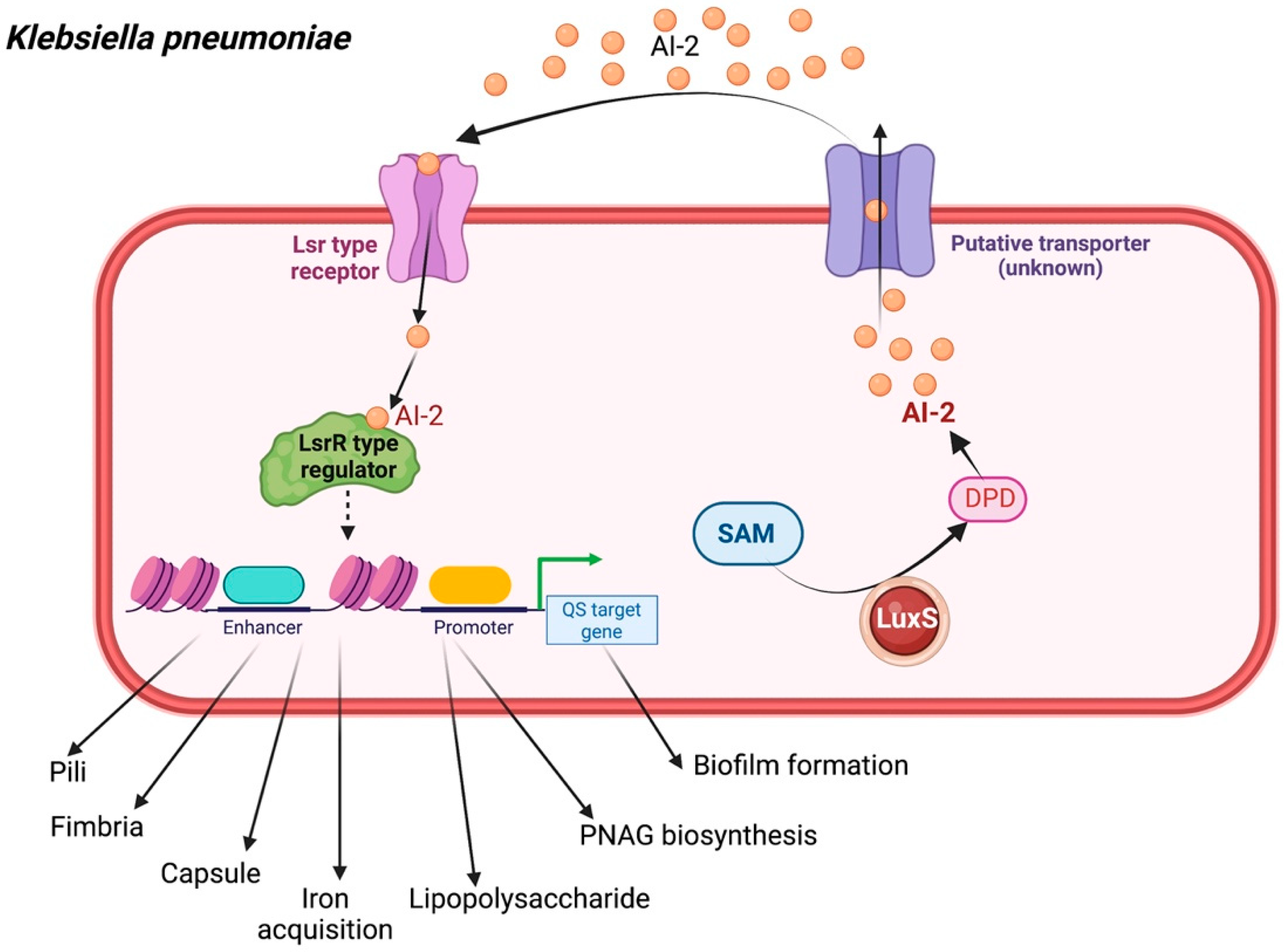 Biology 11 01466 g004 Biology 11 01466 g004
