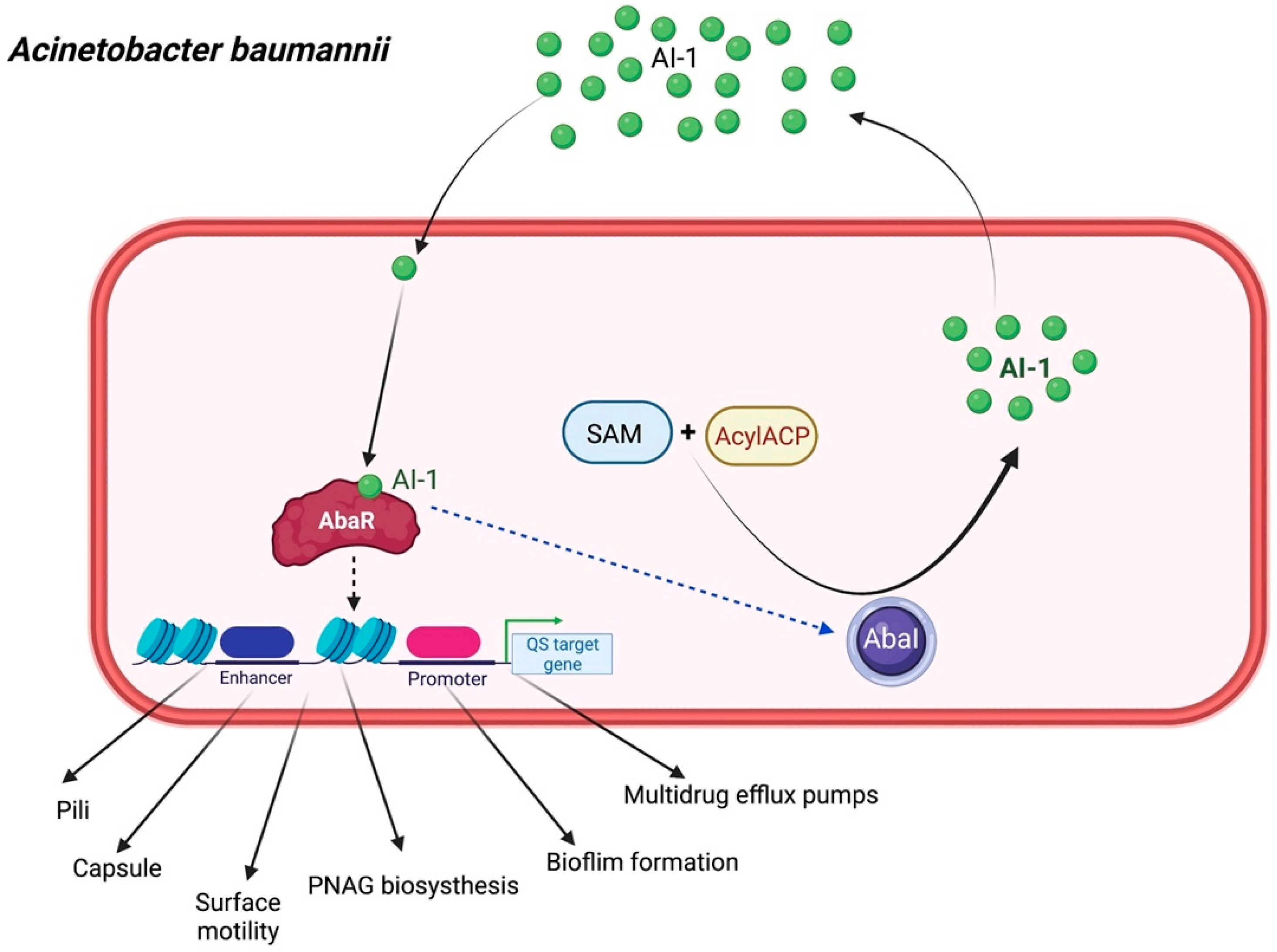 Biology 11 01466 g005 Biology 11 01466 g005