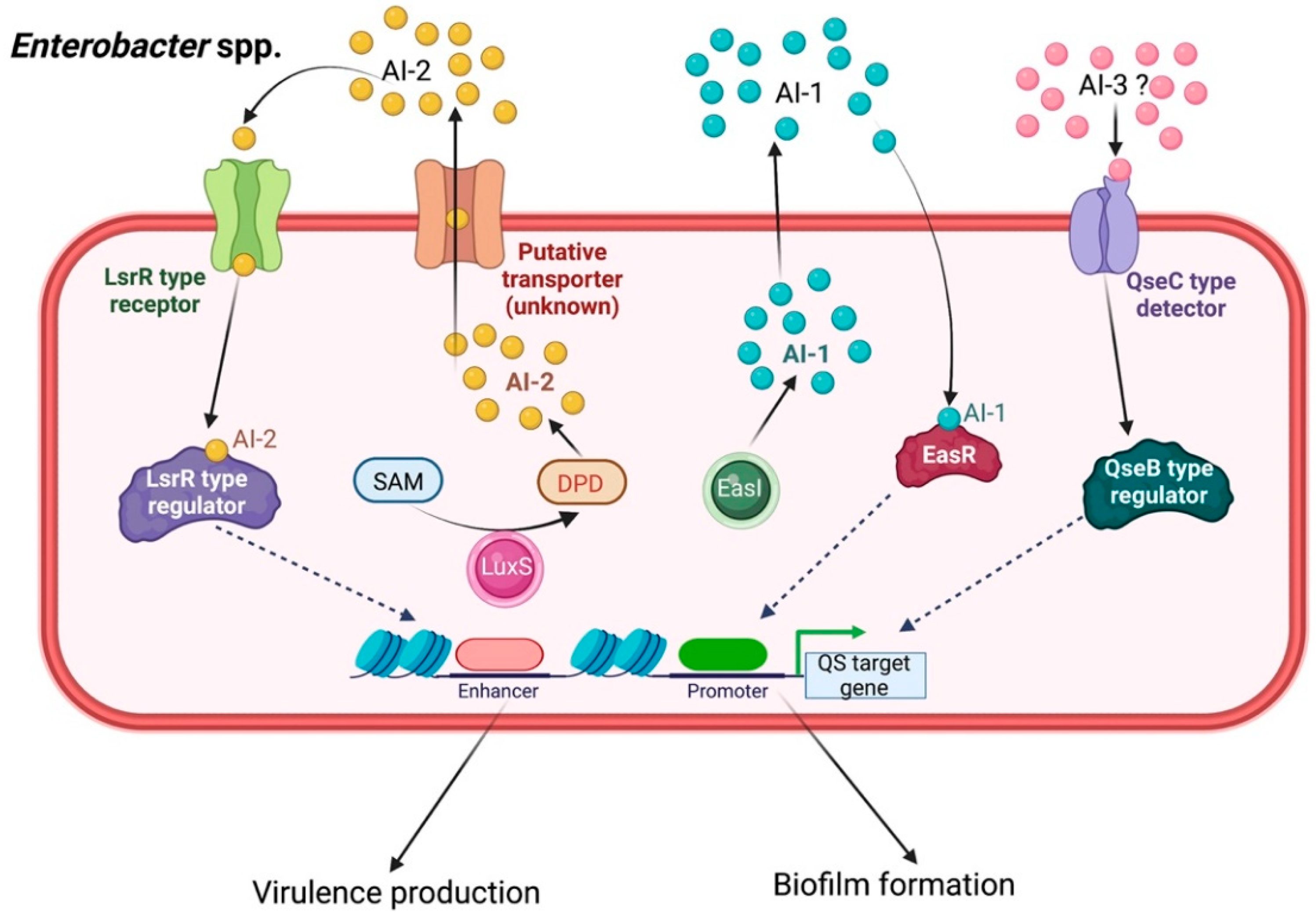 Biology 11 01466 g007 Biology 11 01466 g007