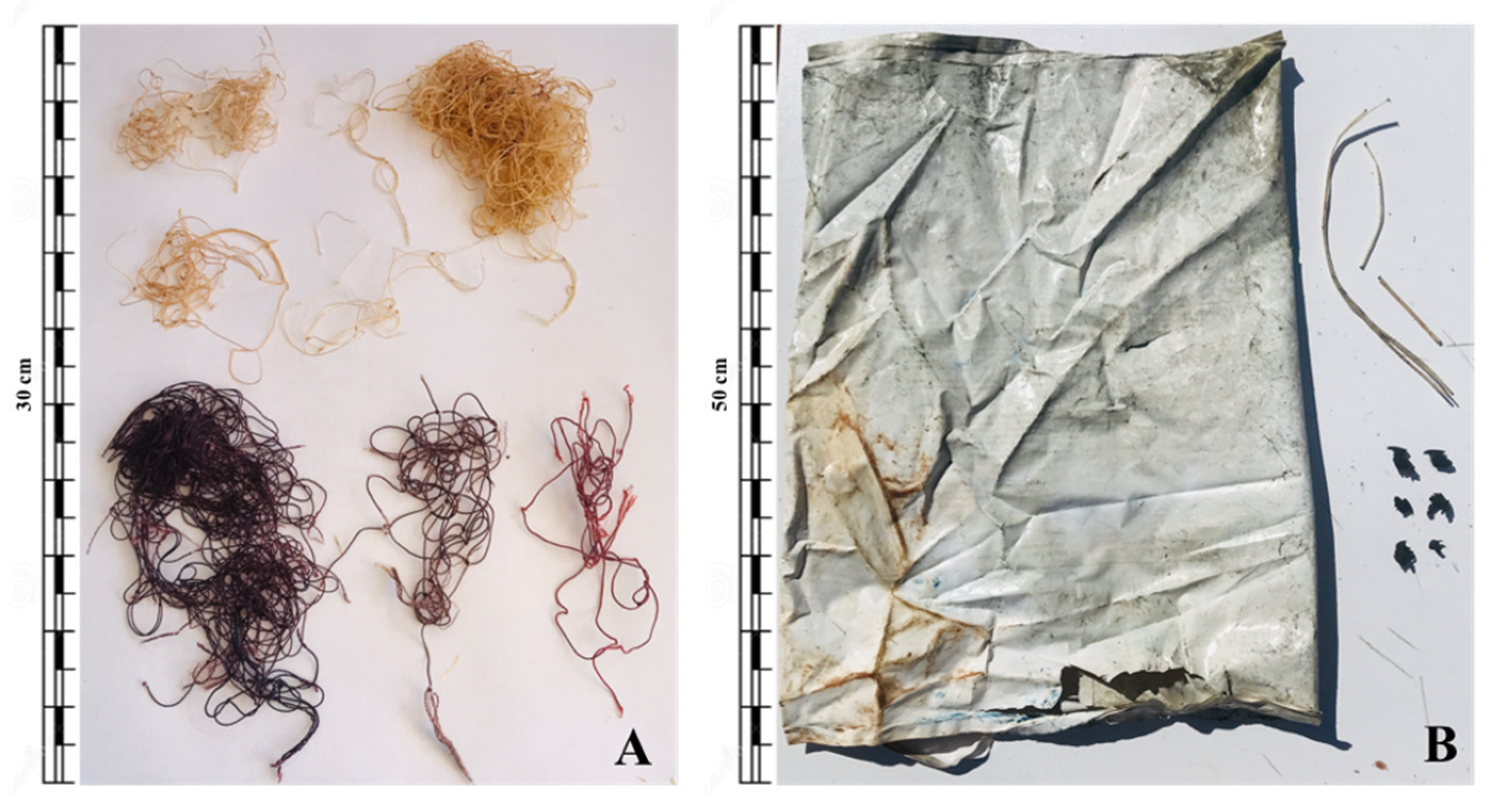 Biology 11 01468 g002 Biology 11 01468 g002