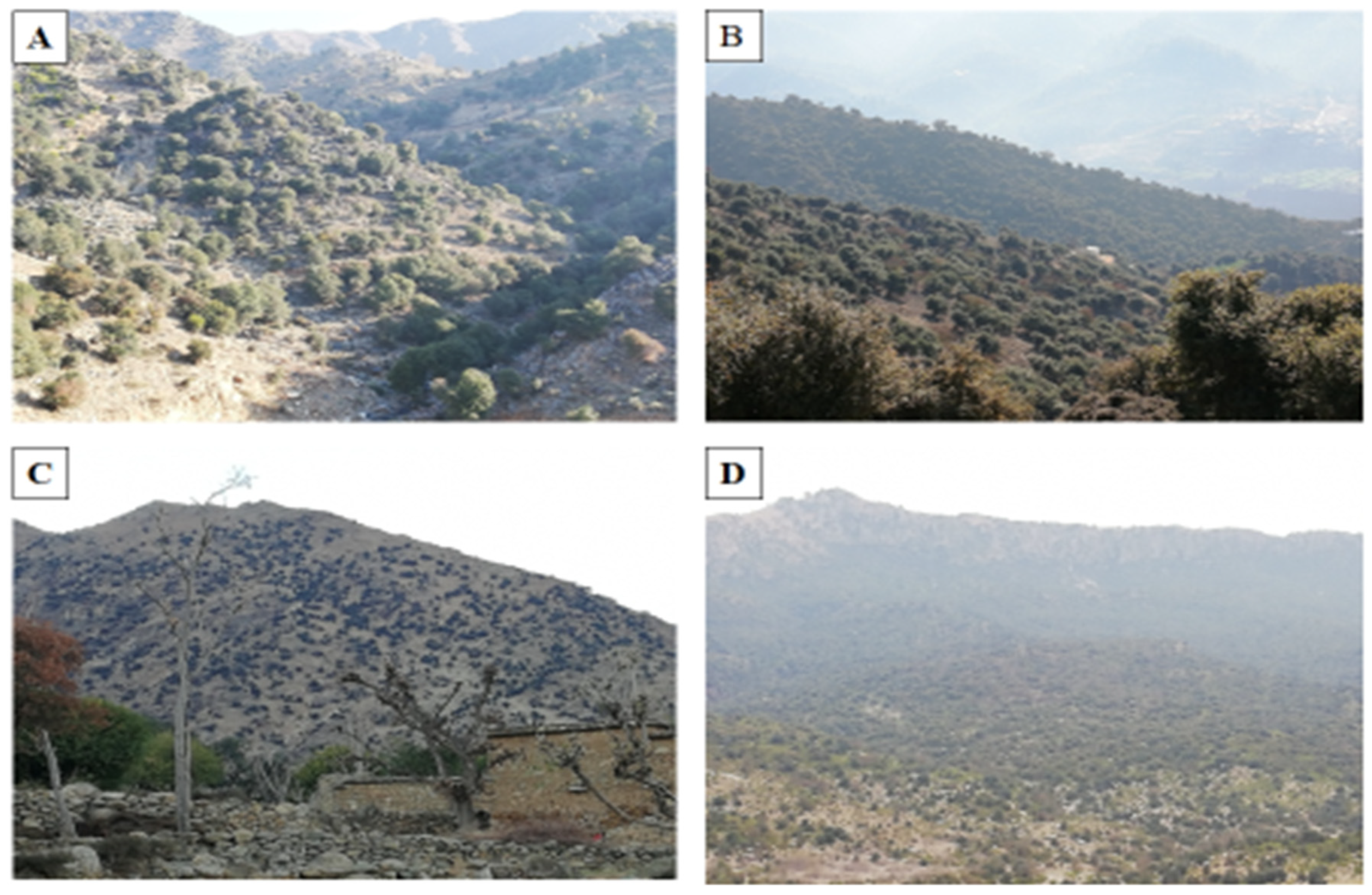 Biology 11 01469 g003 Biology 11 01469 g003
