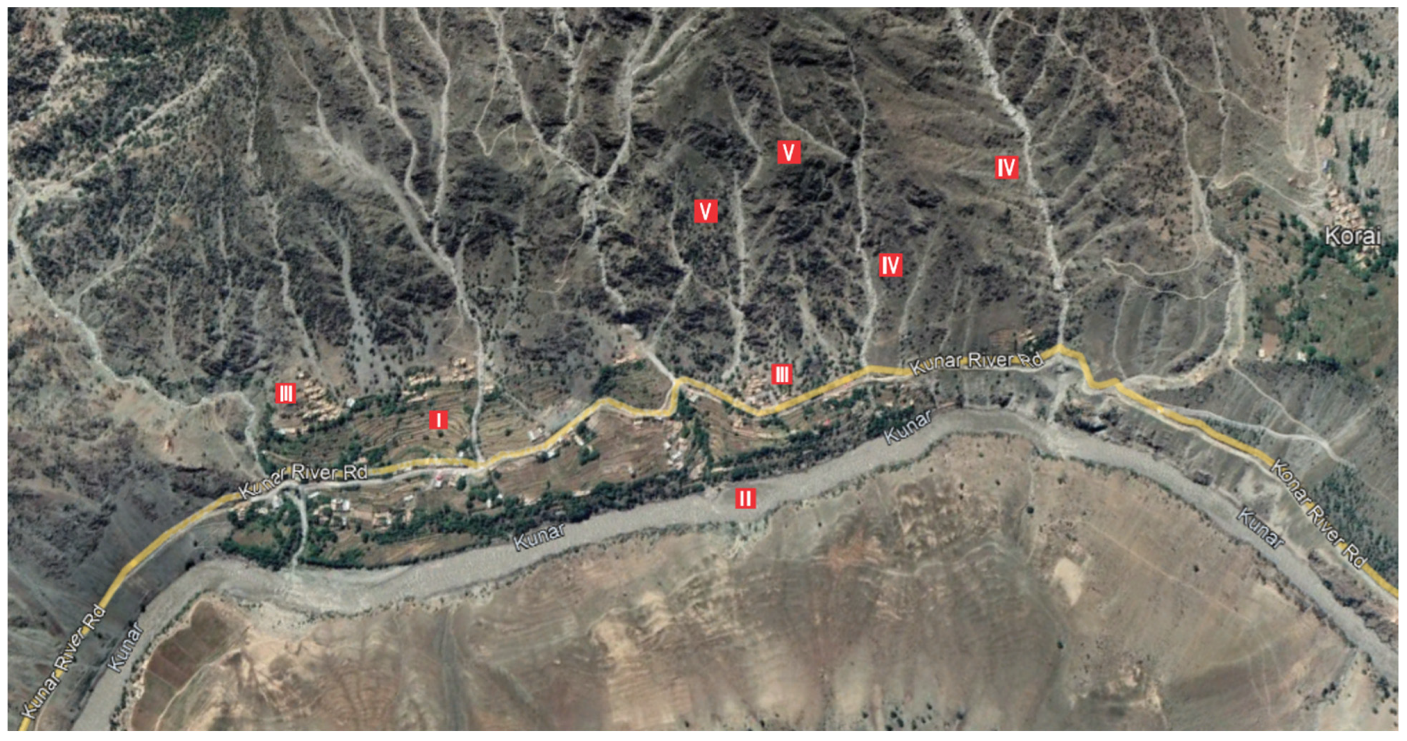 Biology 11 01469 g004 Biology 11 01469 g004