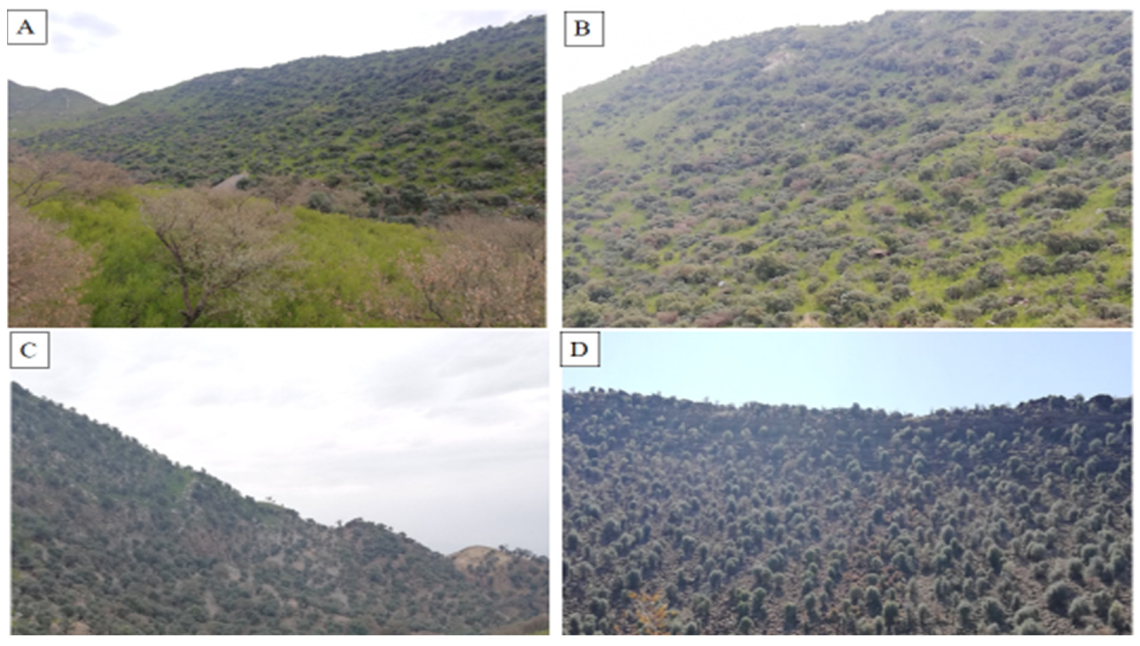 Biology 11 01469 g006 Biology 11 01469 g006