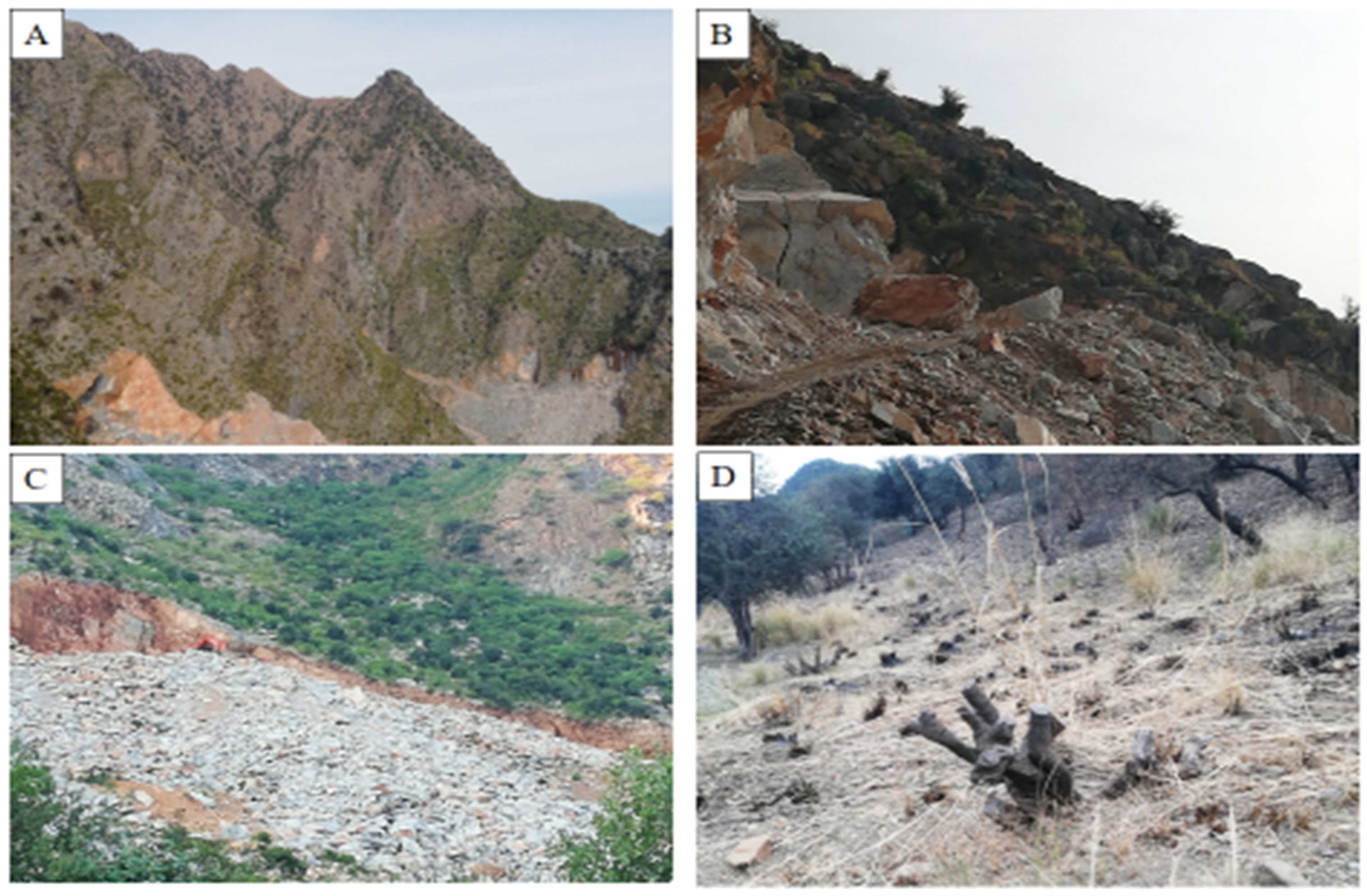 Biology 11 01469 g007 Biology 11 01469 g007