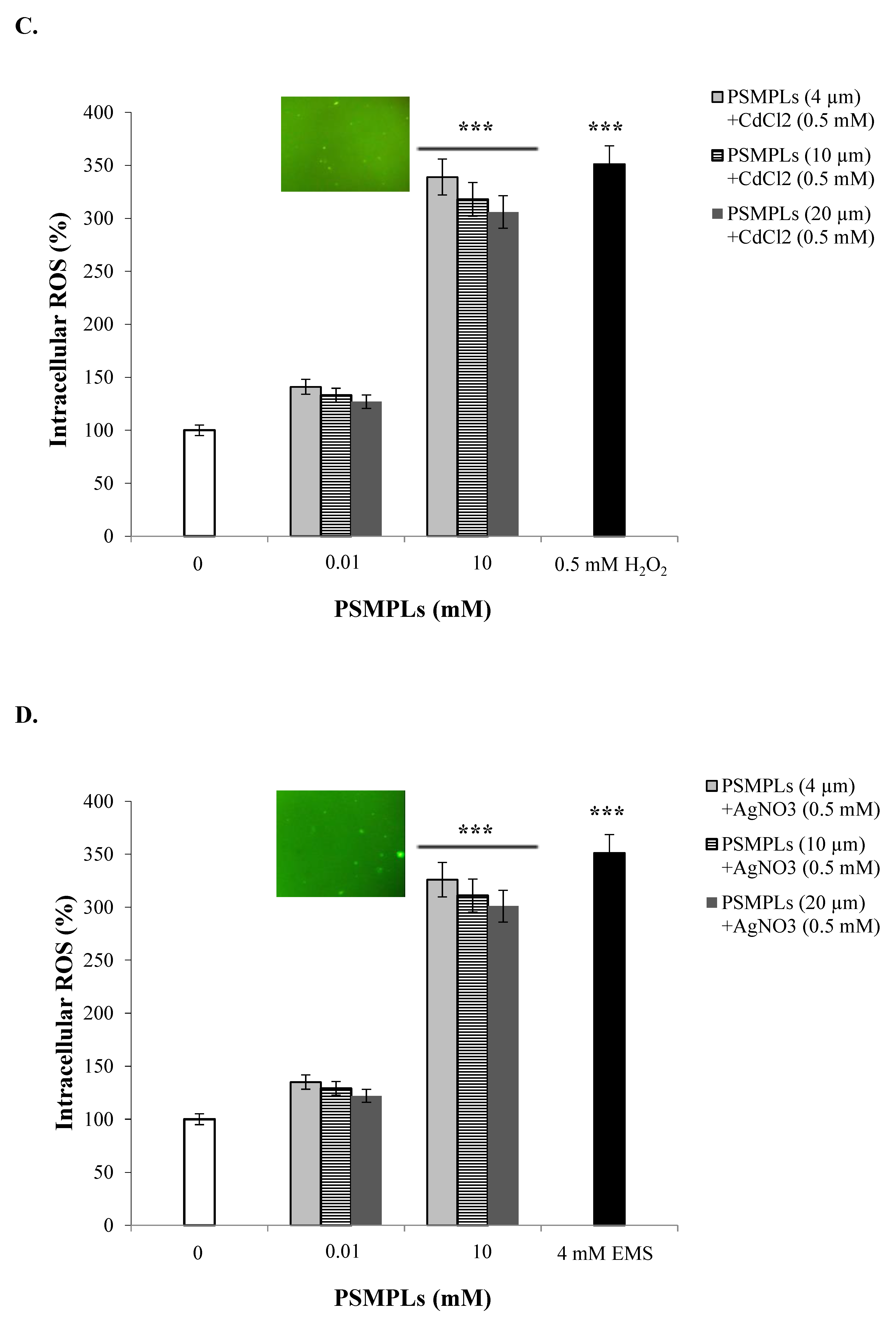 Biology 11 01470 g004b