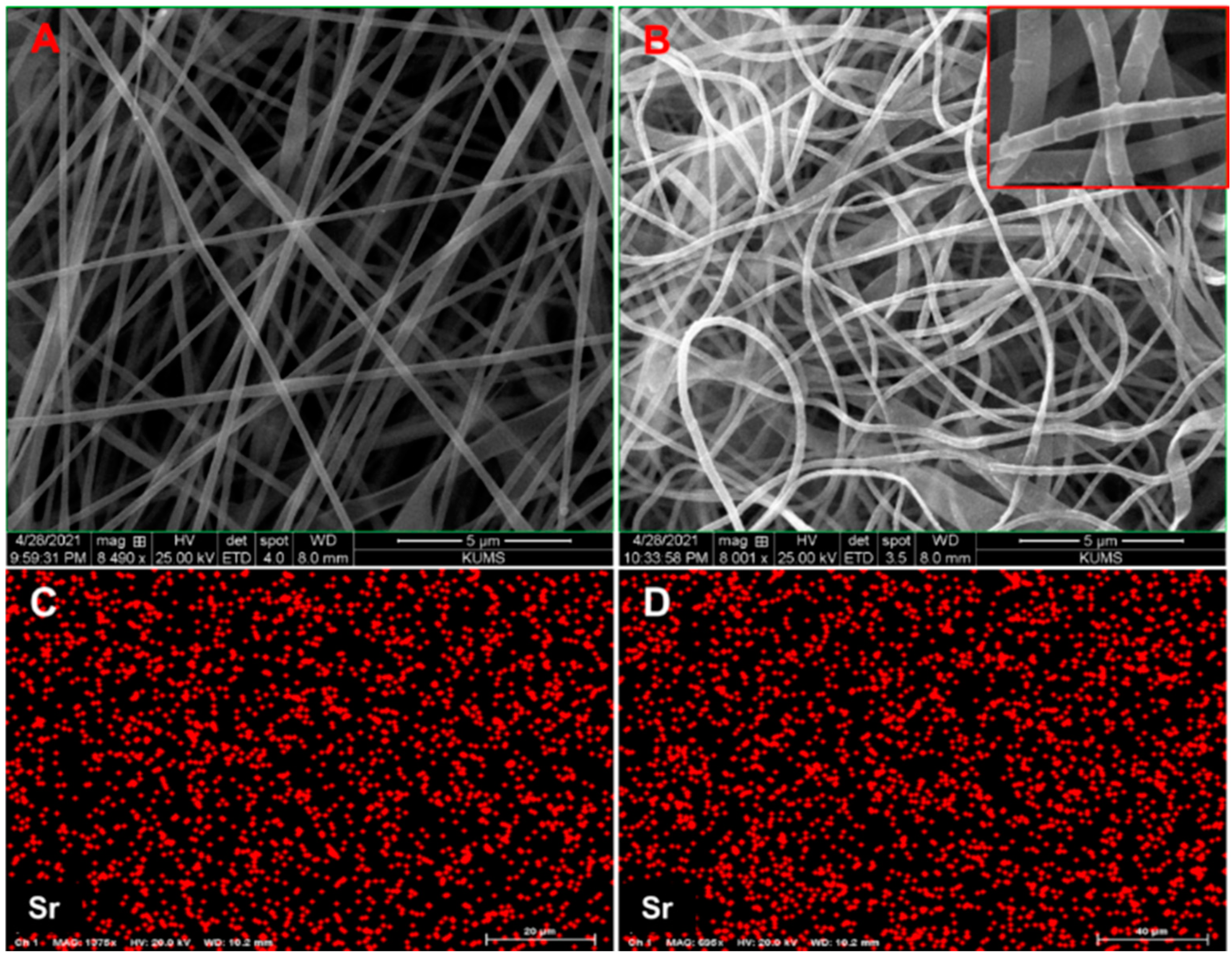 Biology 11 01472 g001 Biology 11 01472 g001