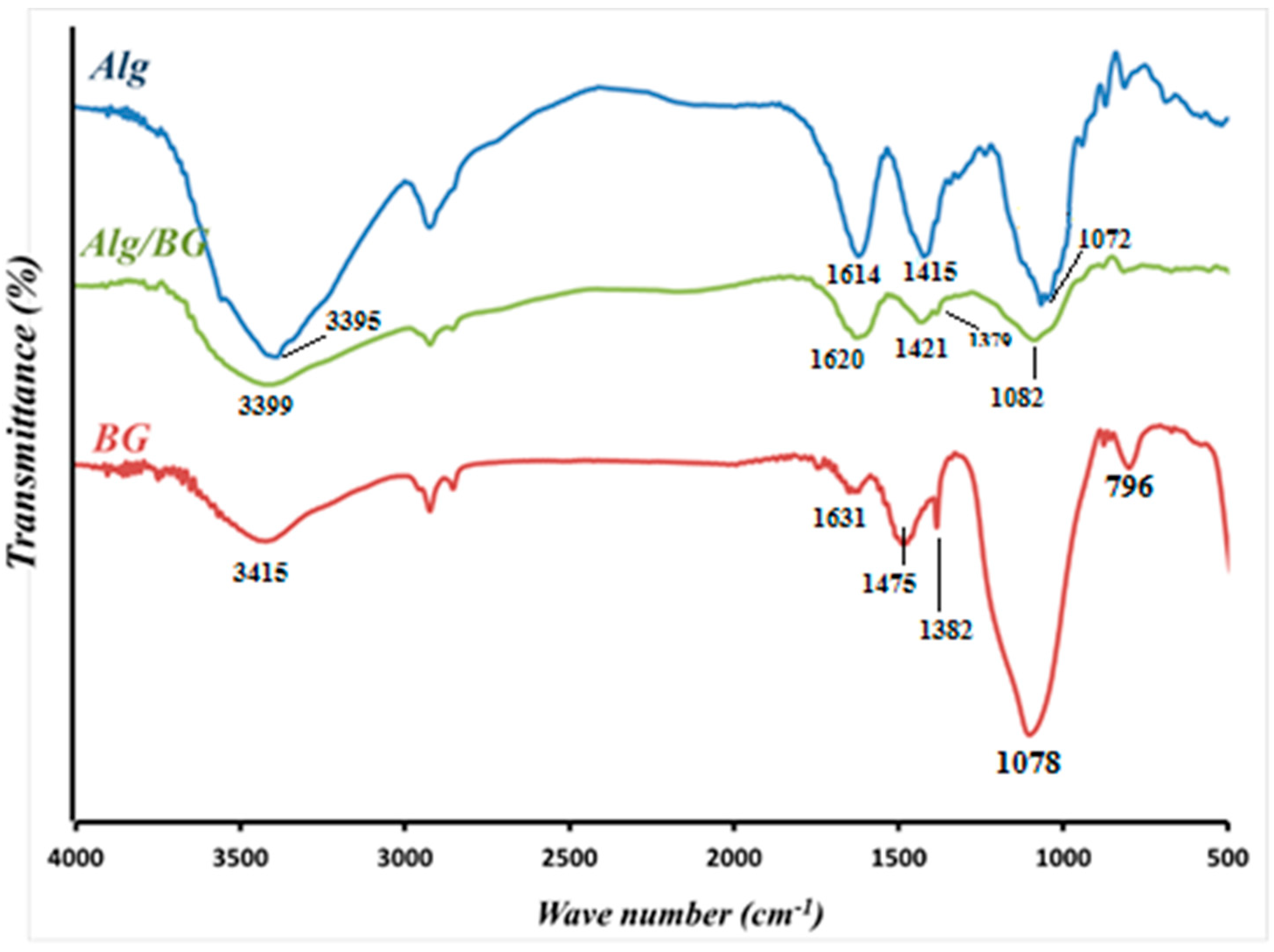 Biology 11 01472 g004 Biology 11 01472 g004