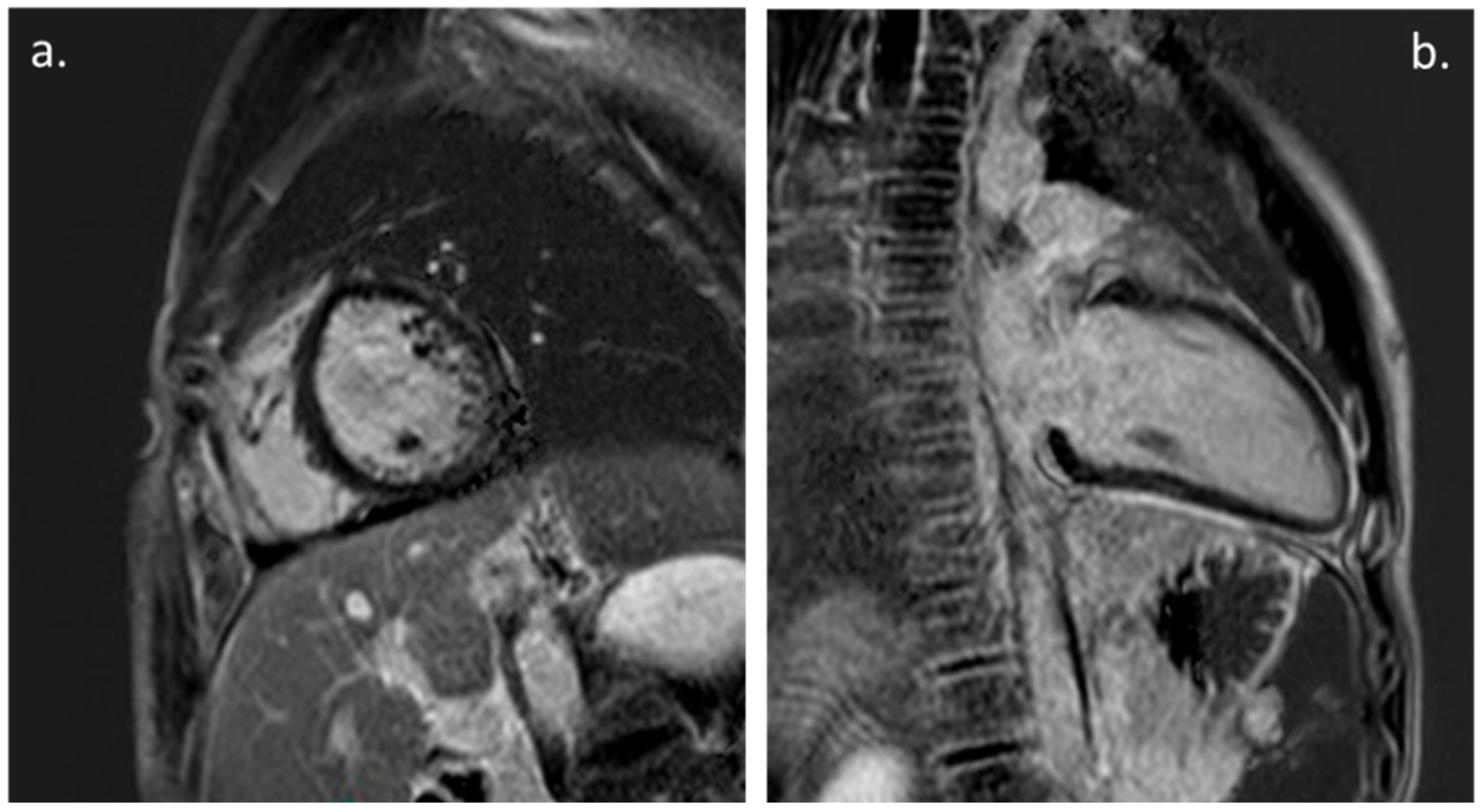 Biology 11 01474 g002