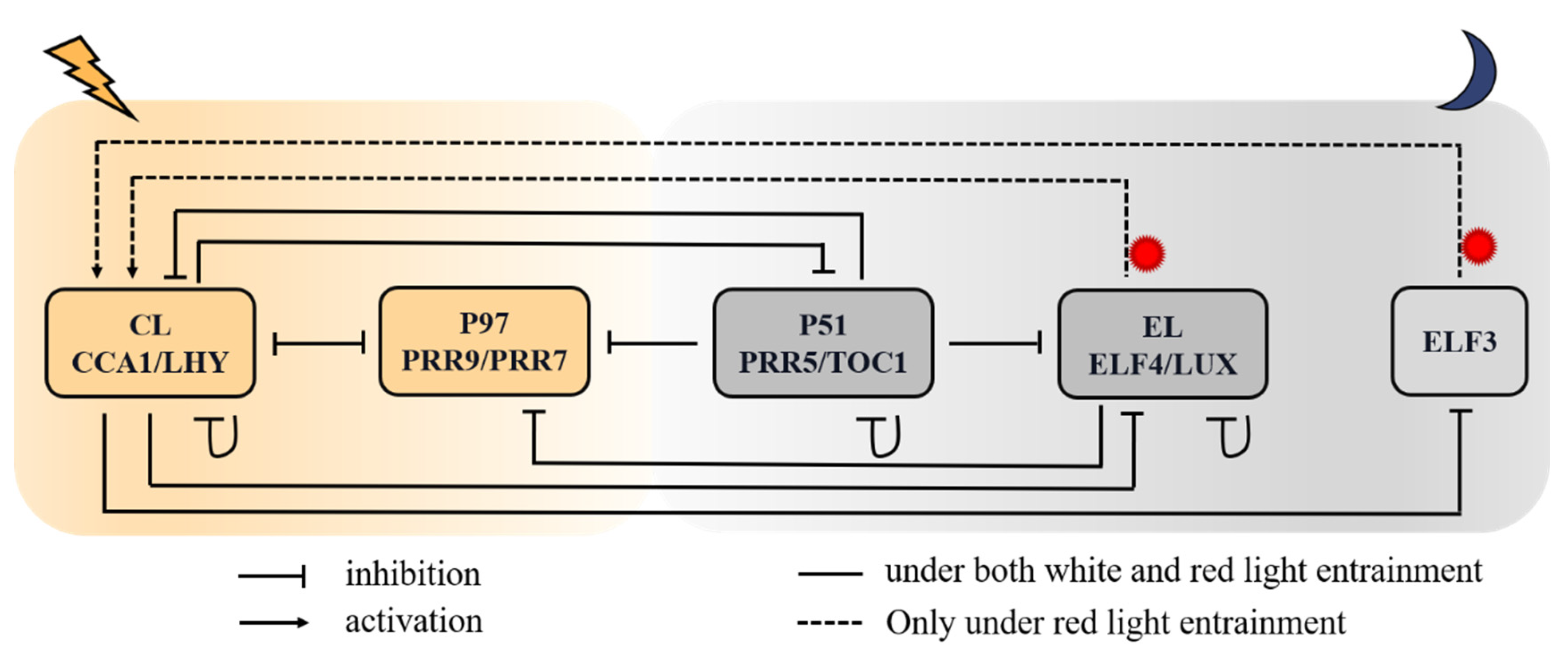 Biology 11 01479 g001 Biology 11 01479 g001