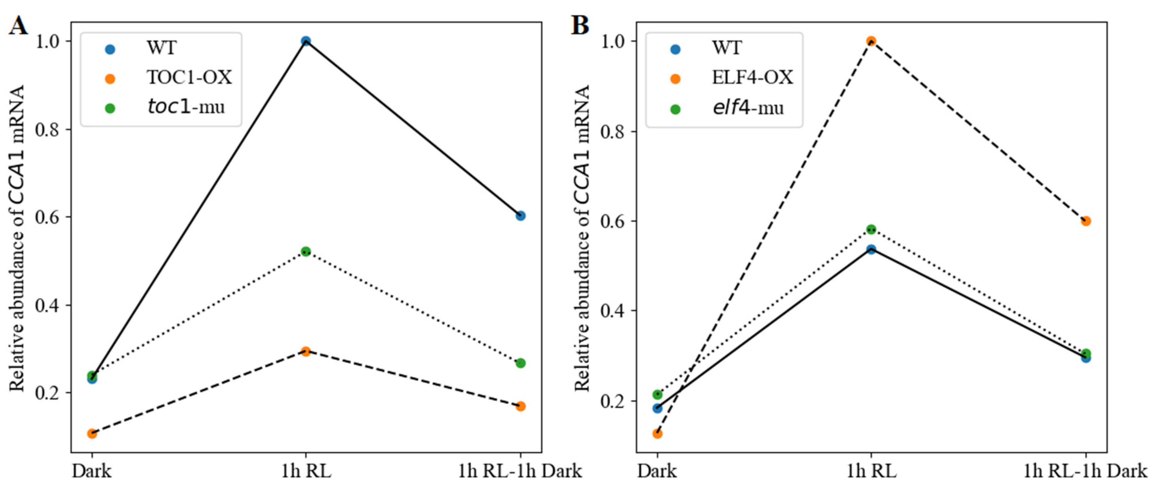 Biology 11 01479 g004 Biology 11 01479 g004