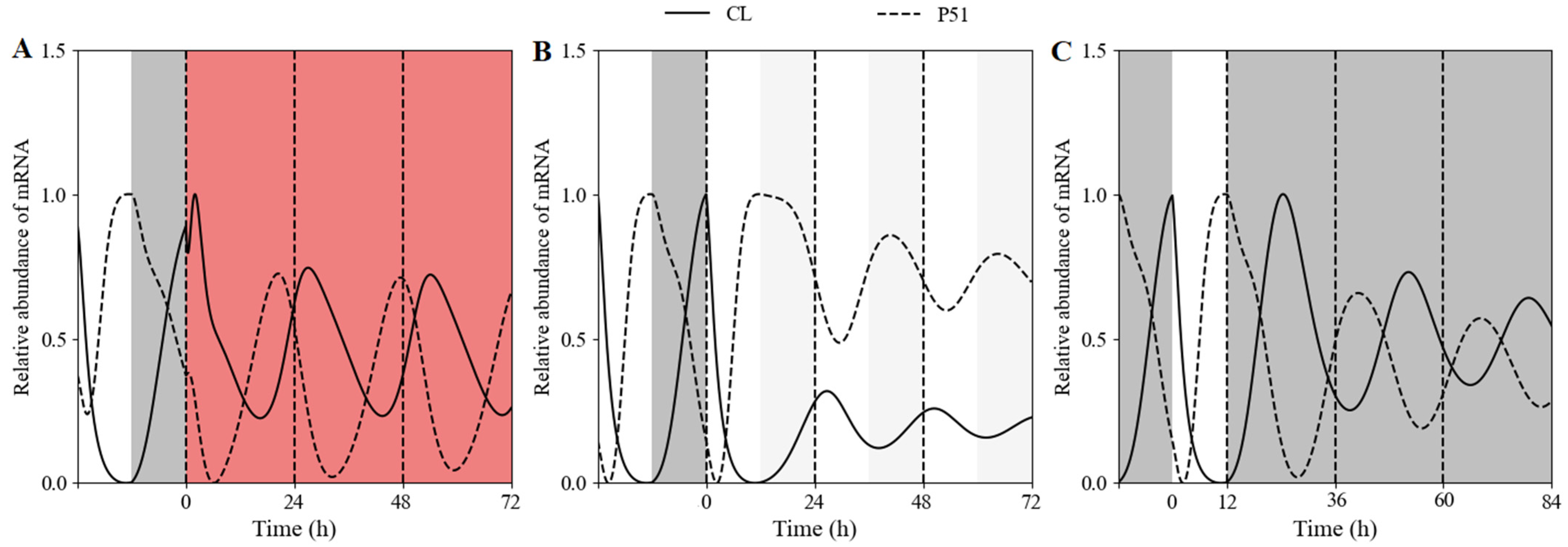 Biology 11 01479 g005 Biology 11 01479 g005