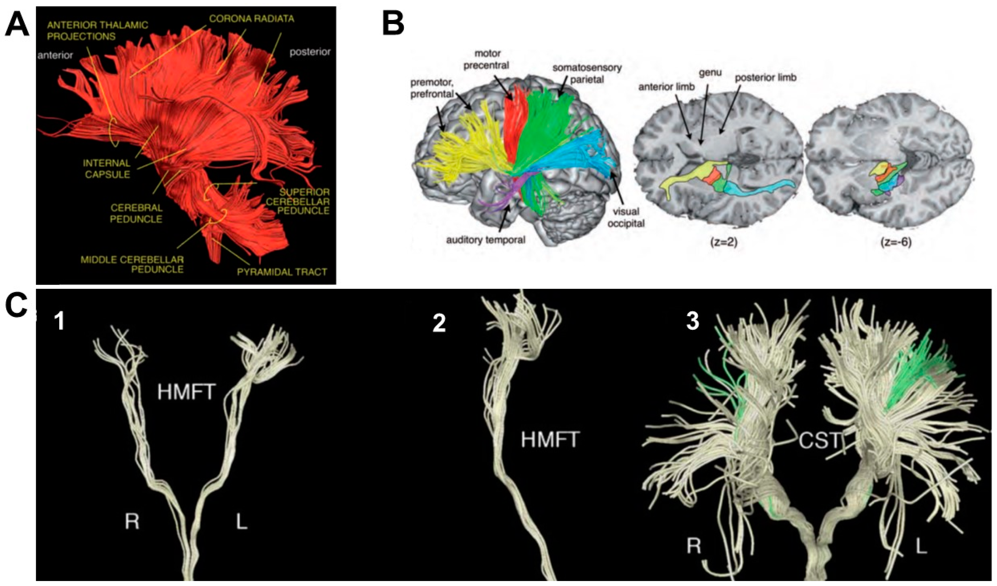 Biology 11 01482 g001 Biology 11 01482 g001