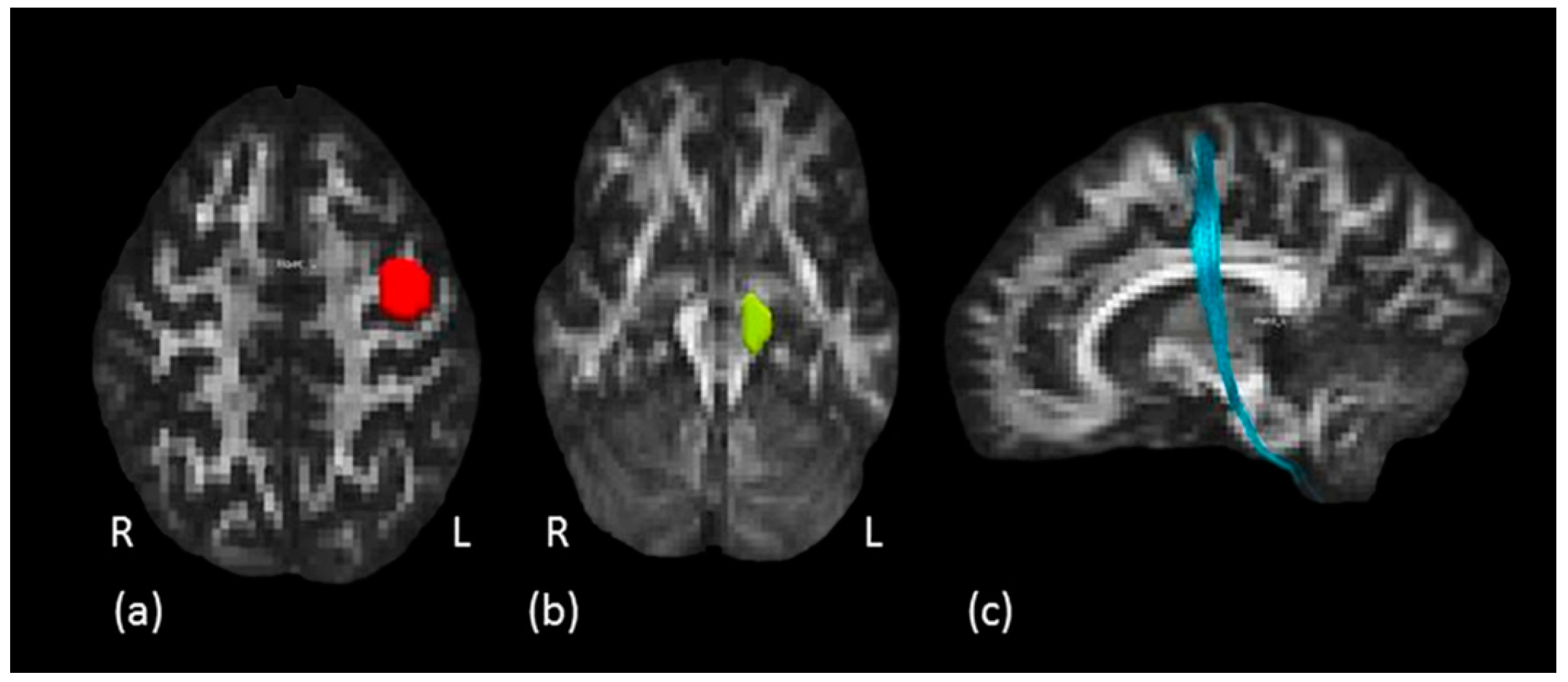 Biology 11 01482 g004 Biology 11 01482 g004