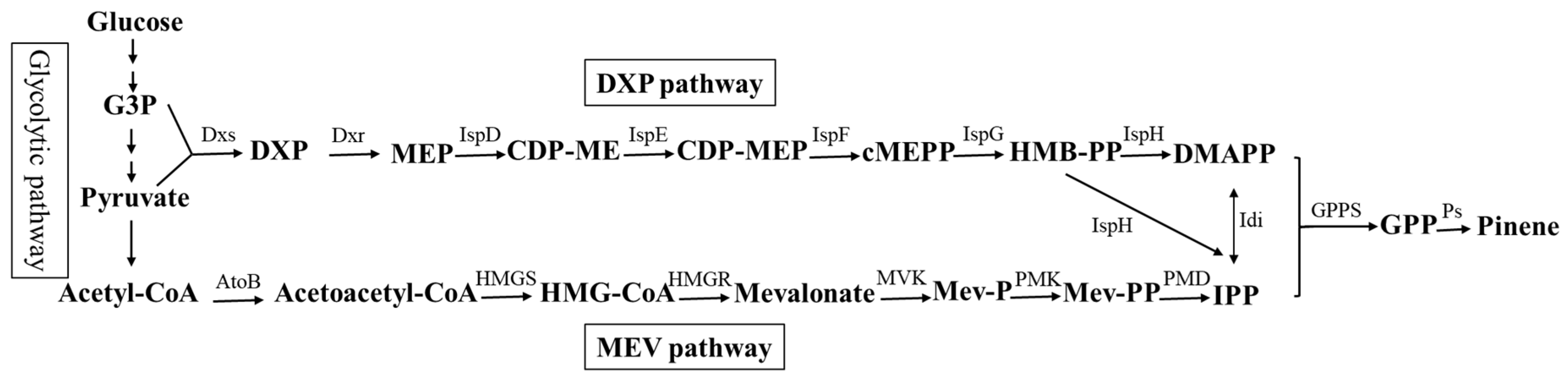 Biology 11 01484 g001 Biology 11 01484 g001